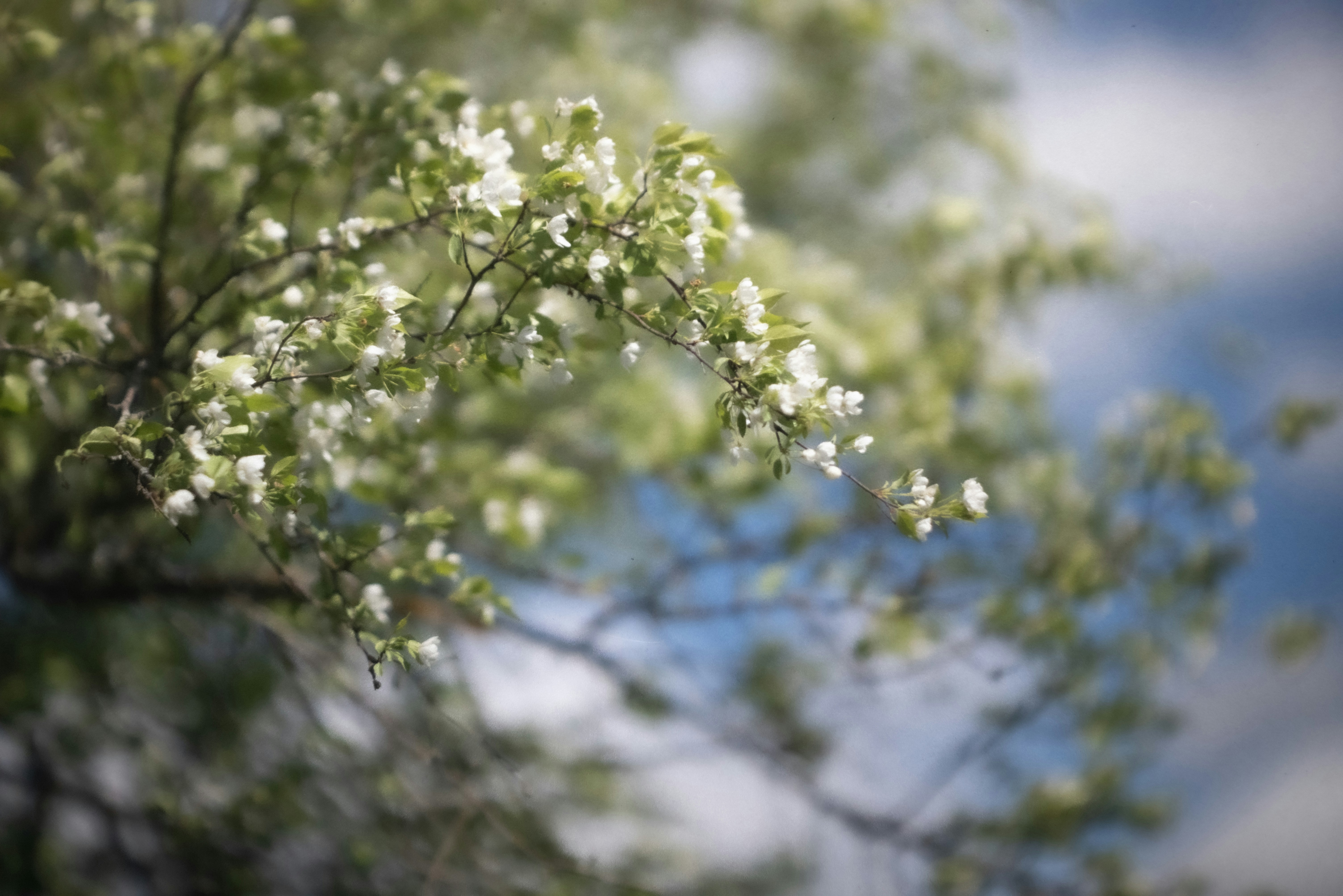 Photo by andrilliardbond