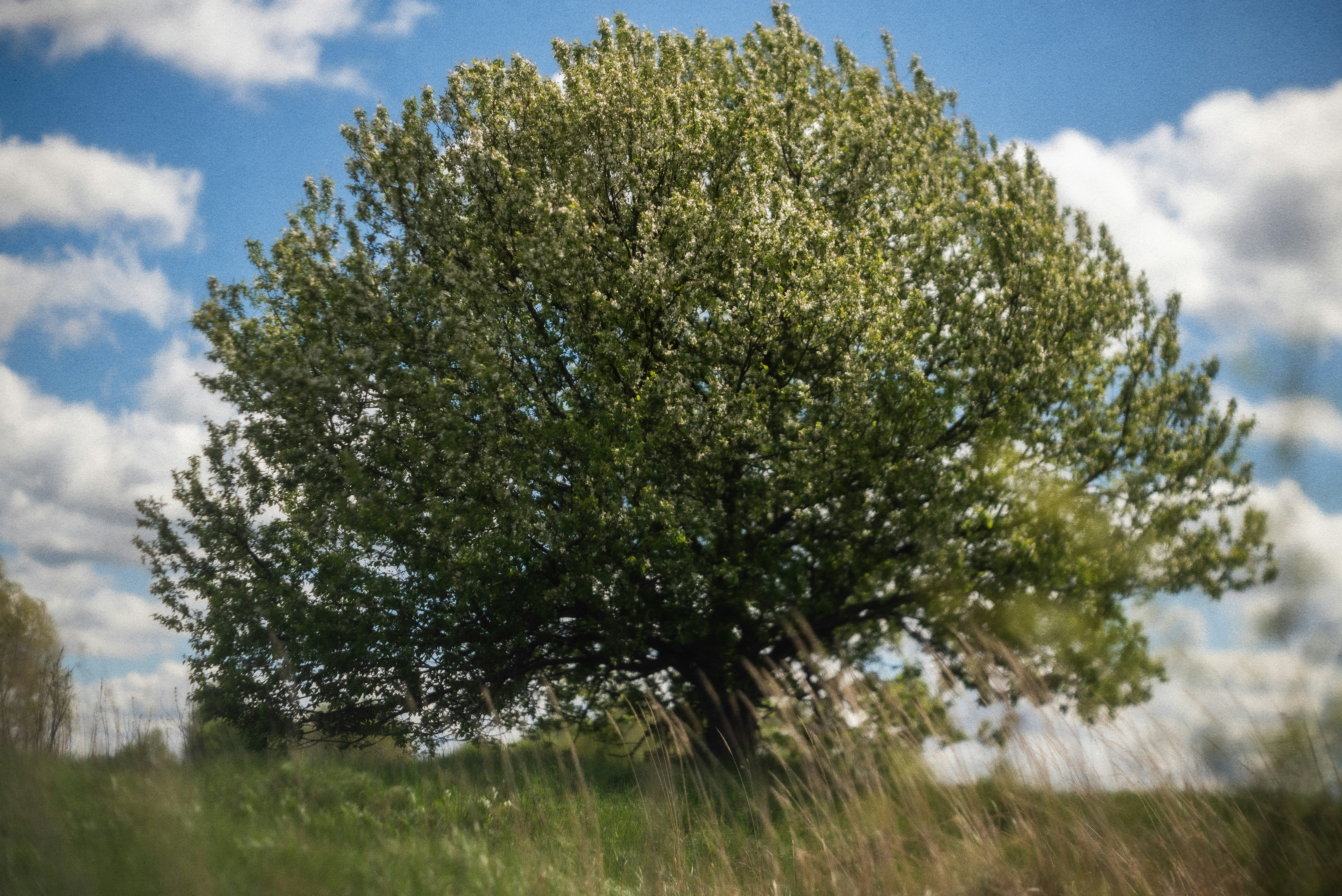 Photo by andrilliardbond