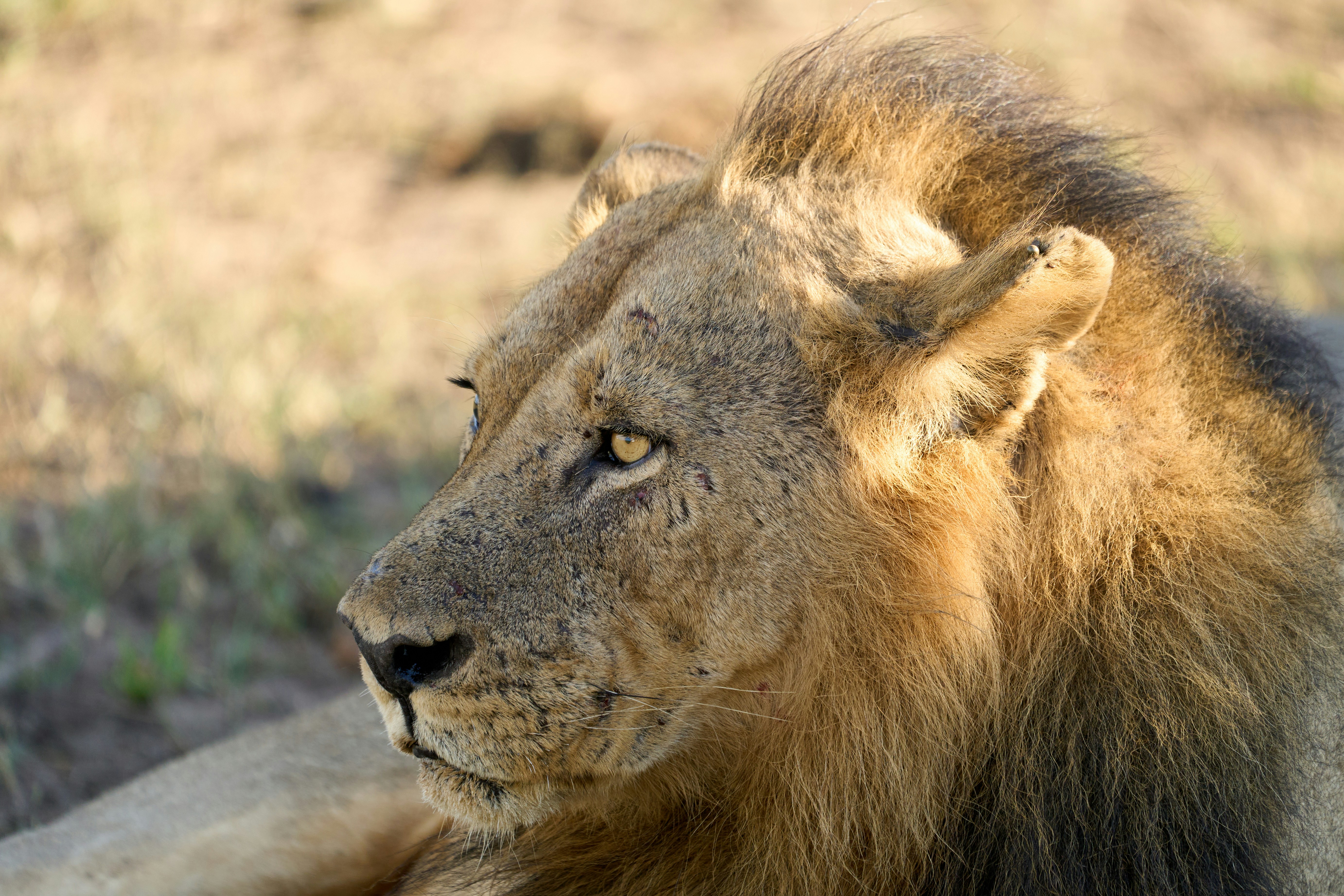 Photo by dmitrii_zhodzishskii