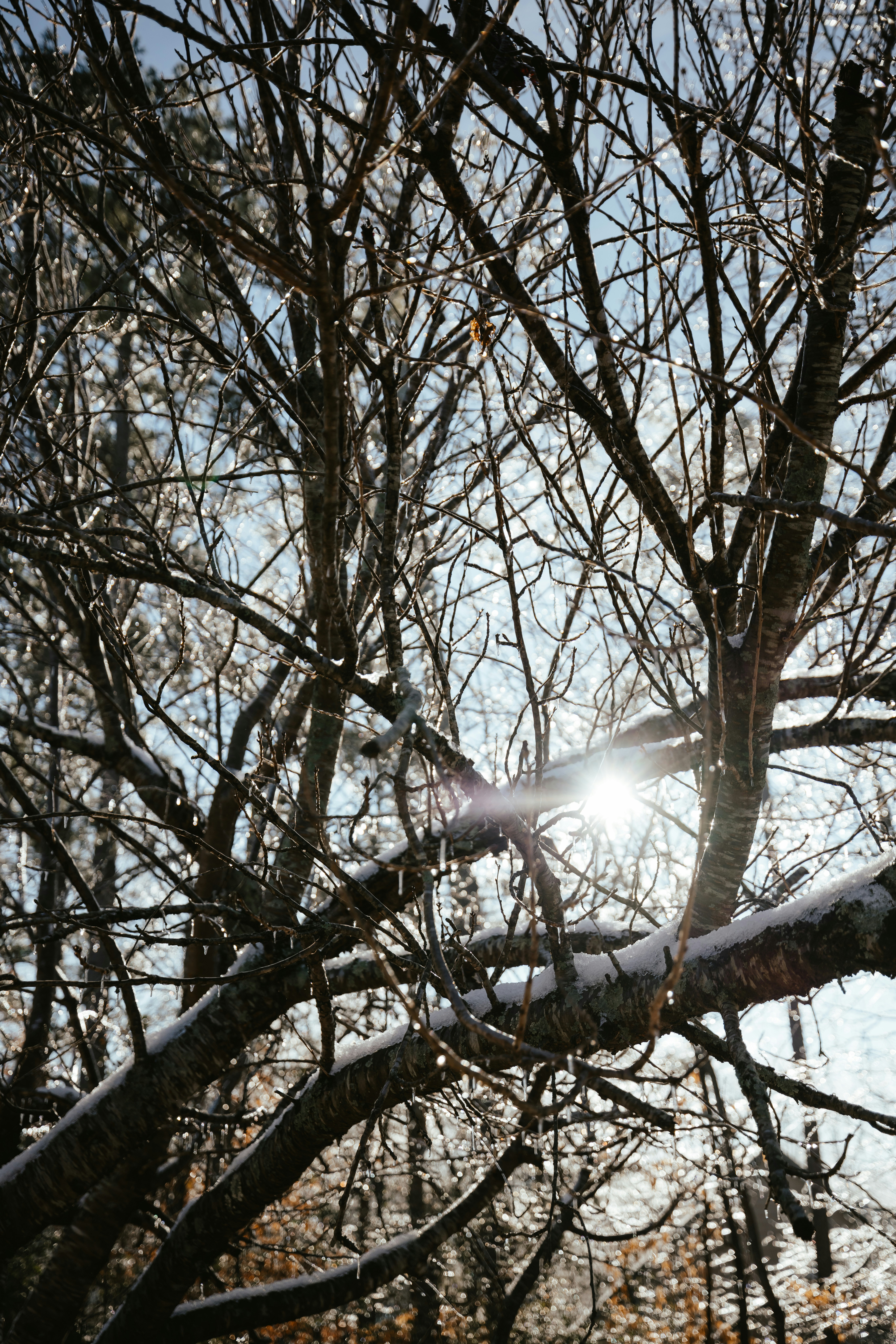 Photo by travisfishl