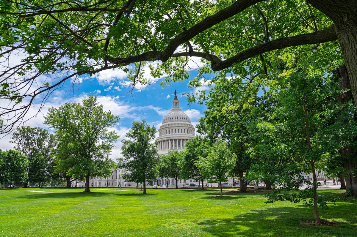 The United States Capitol building on a sunny day in Washington, D.C.