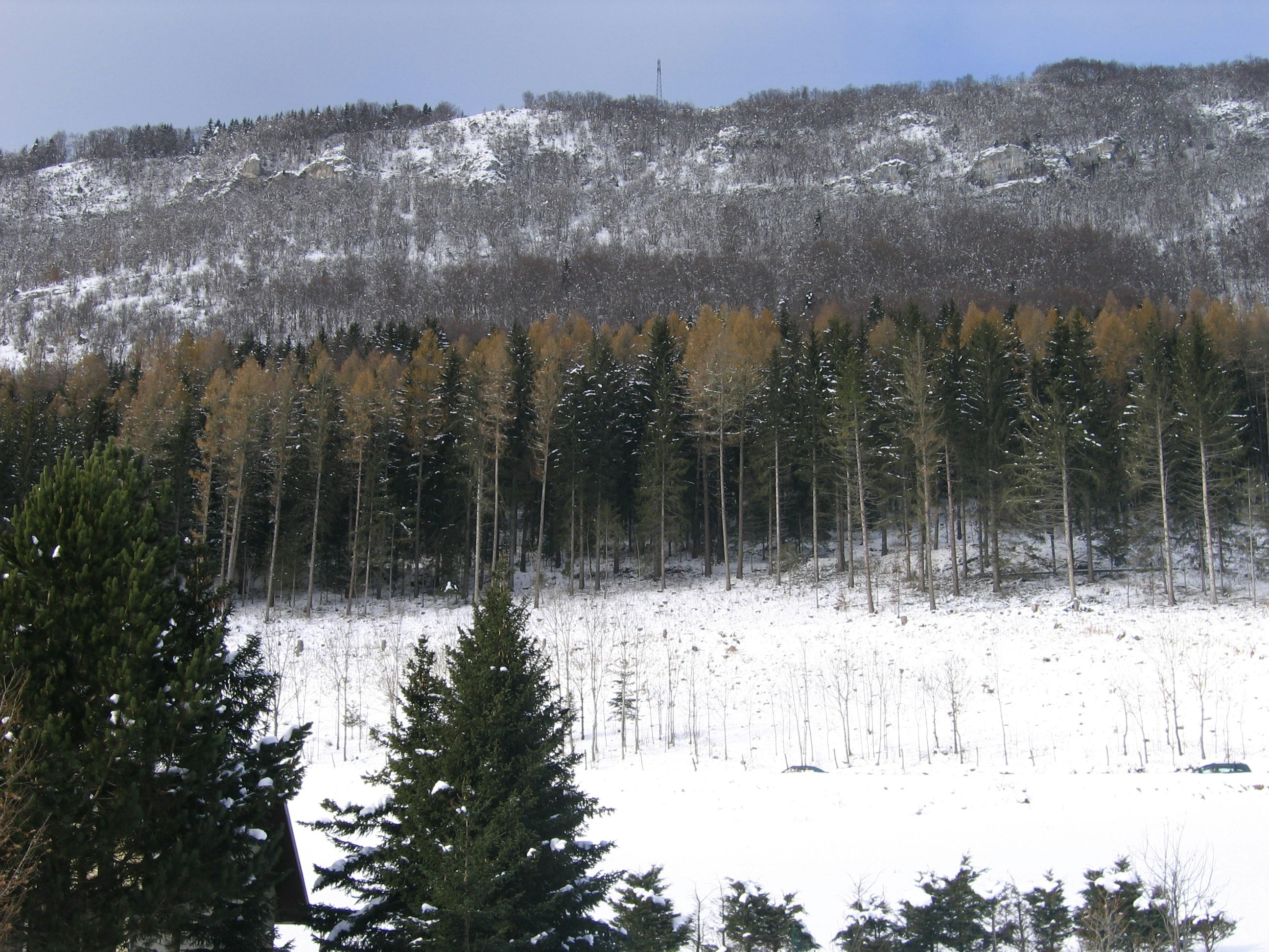 Photo by prakashraophotography