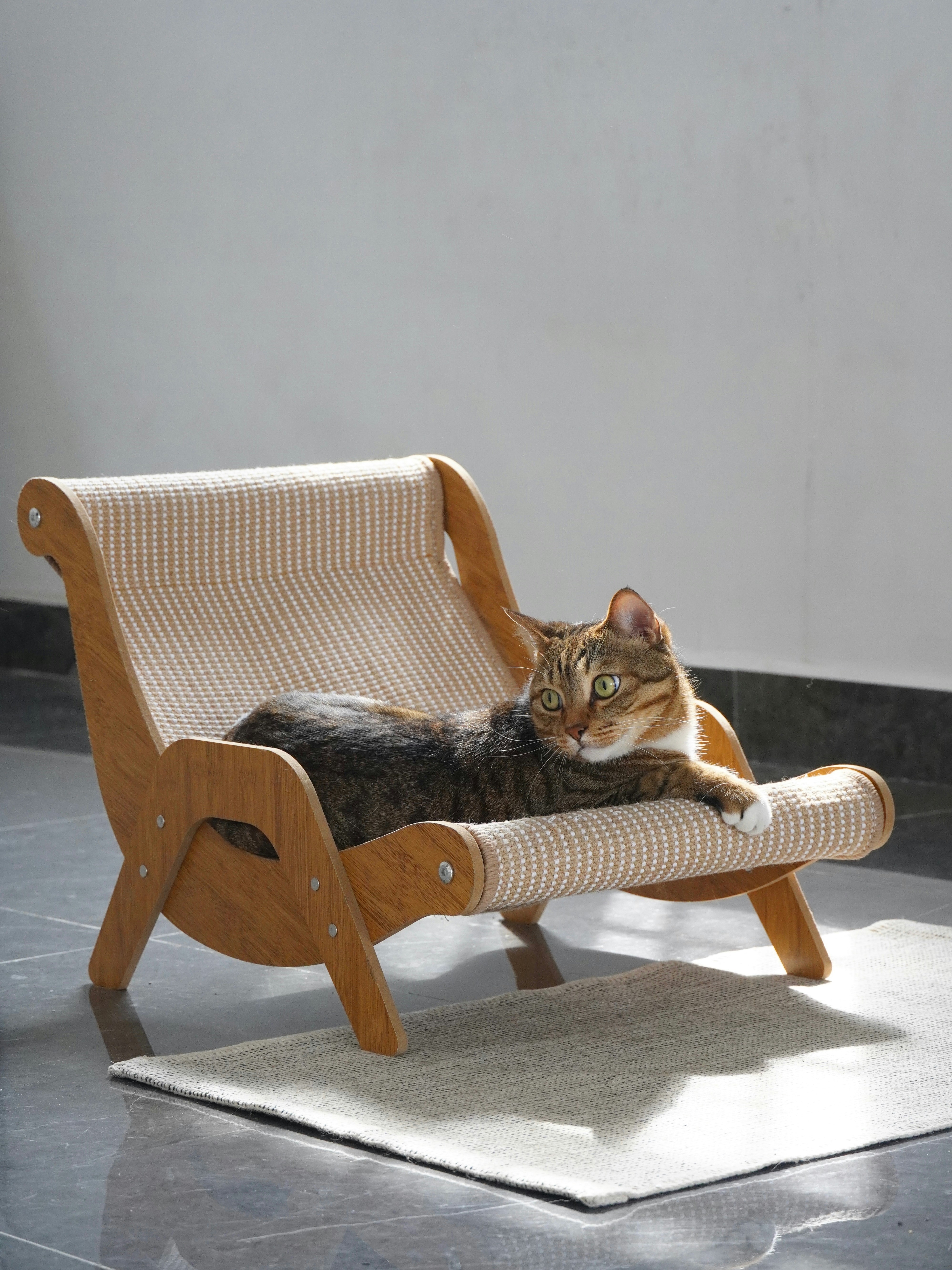 Loafing Around (image credits: unsplash)