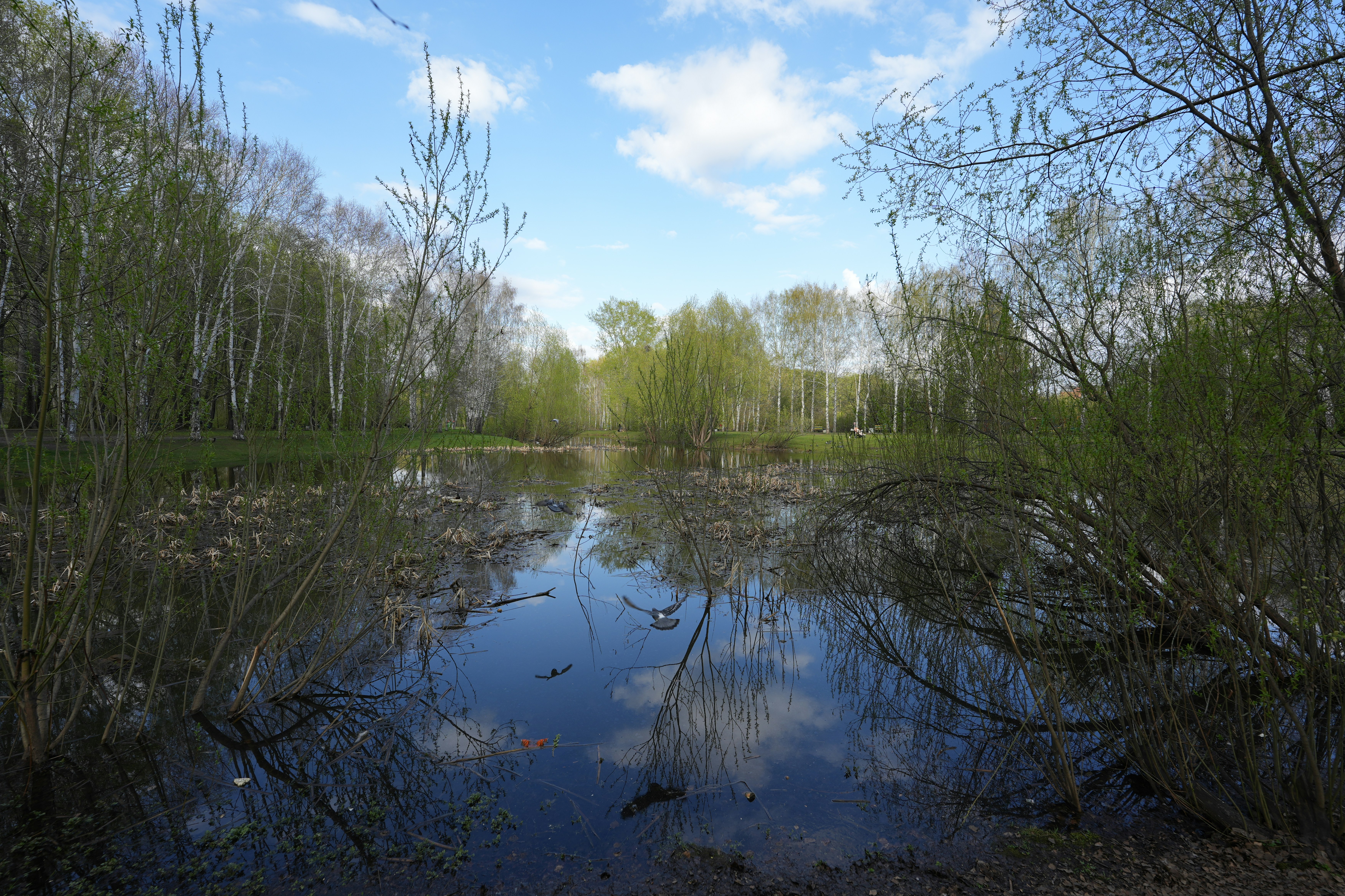 Photo by vadim_shevyrin