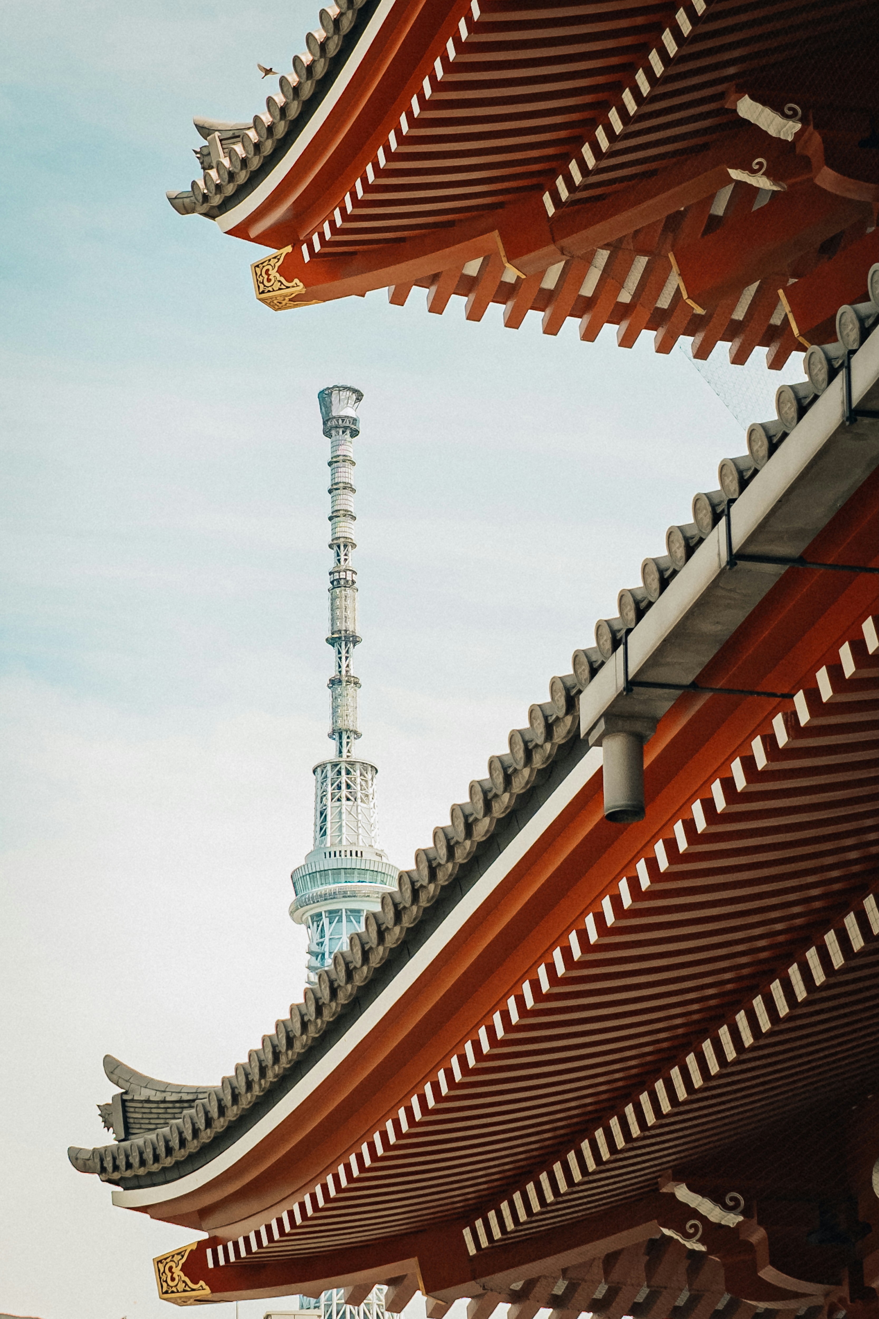 Japanese pagoda juxtaposed with a modern tower.