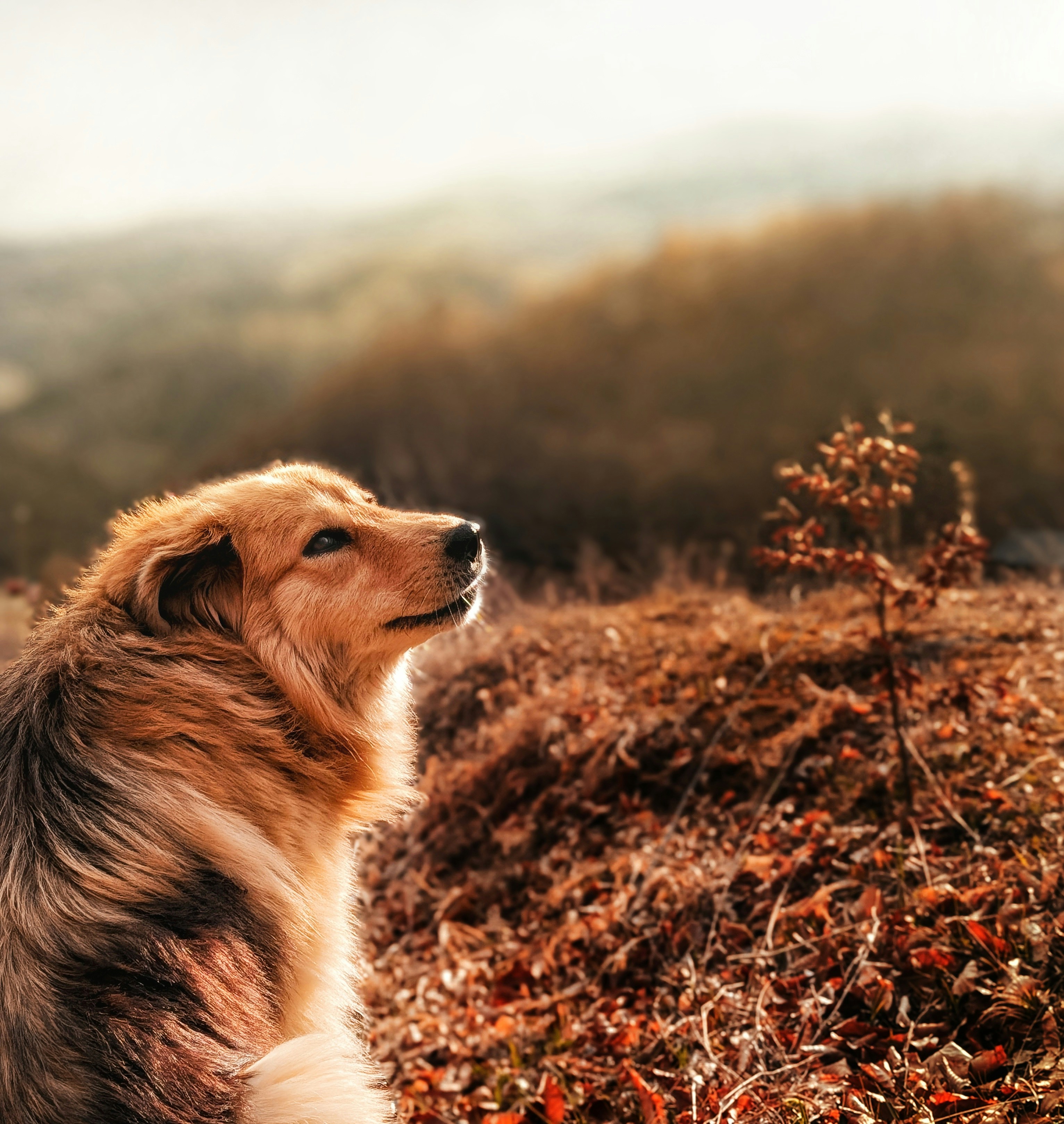 Photo by nabeelhussainphotos