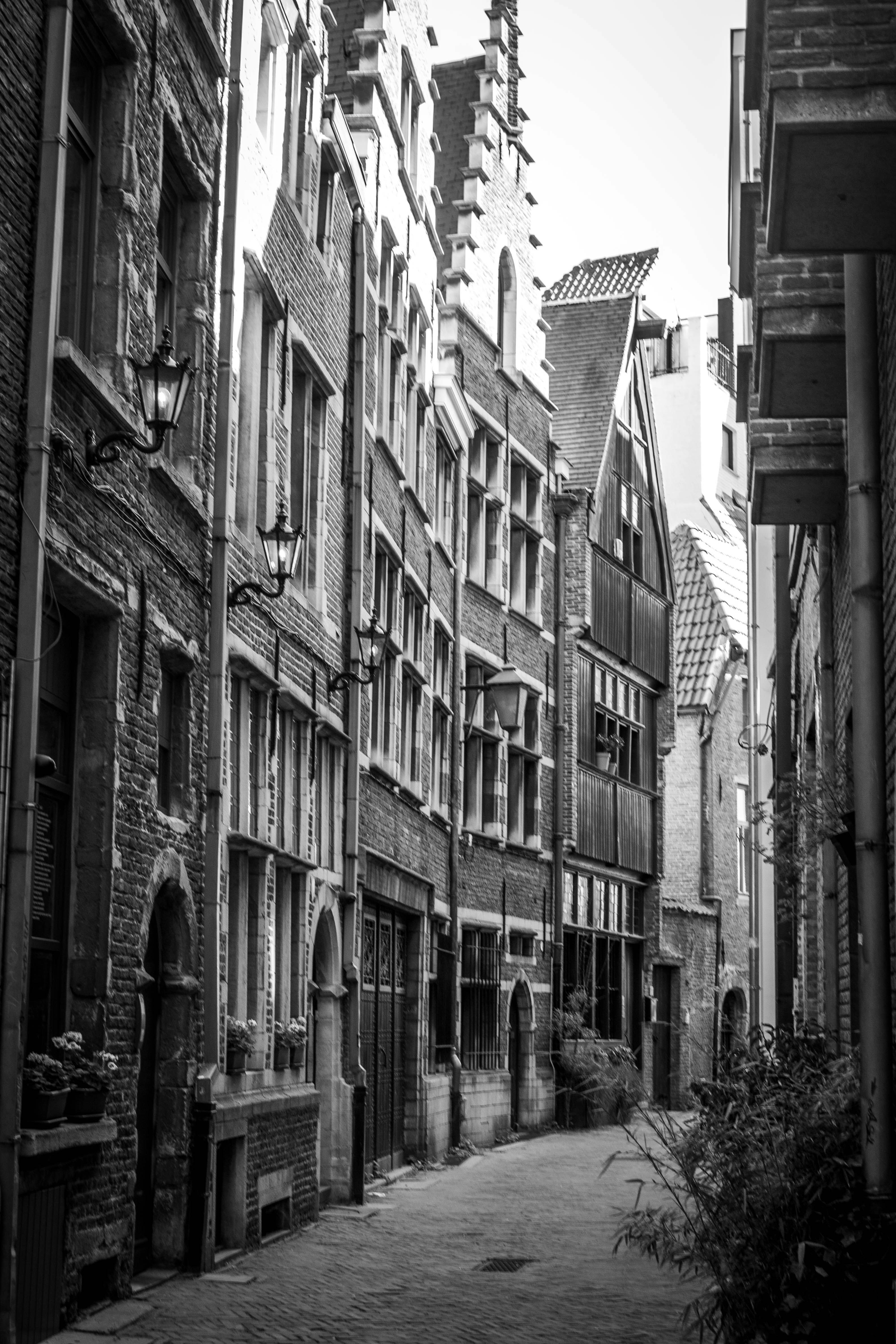 Photo by kamillaisalieva