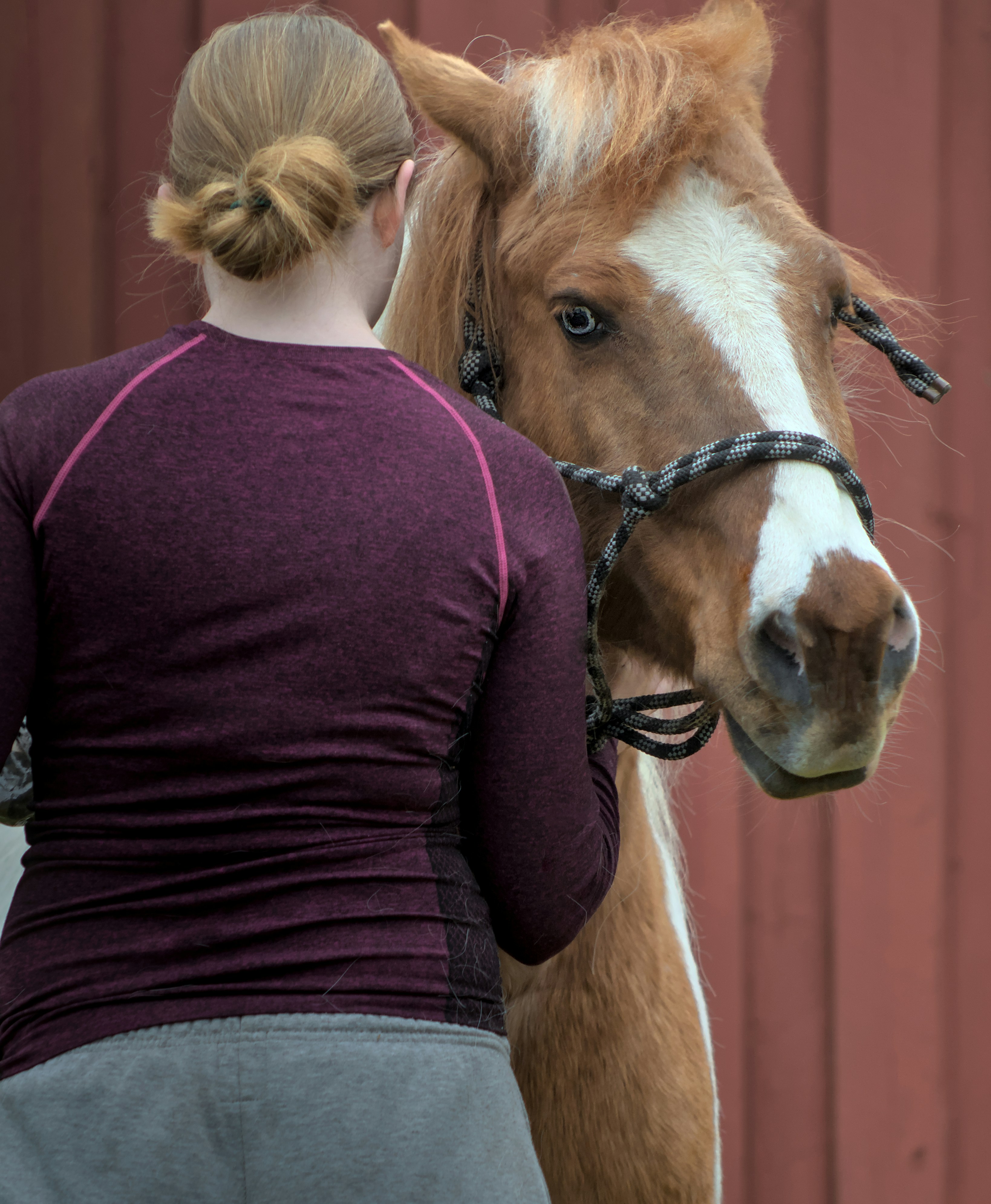 Therapeutic Partners (image credits: unsplash)