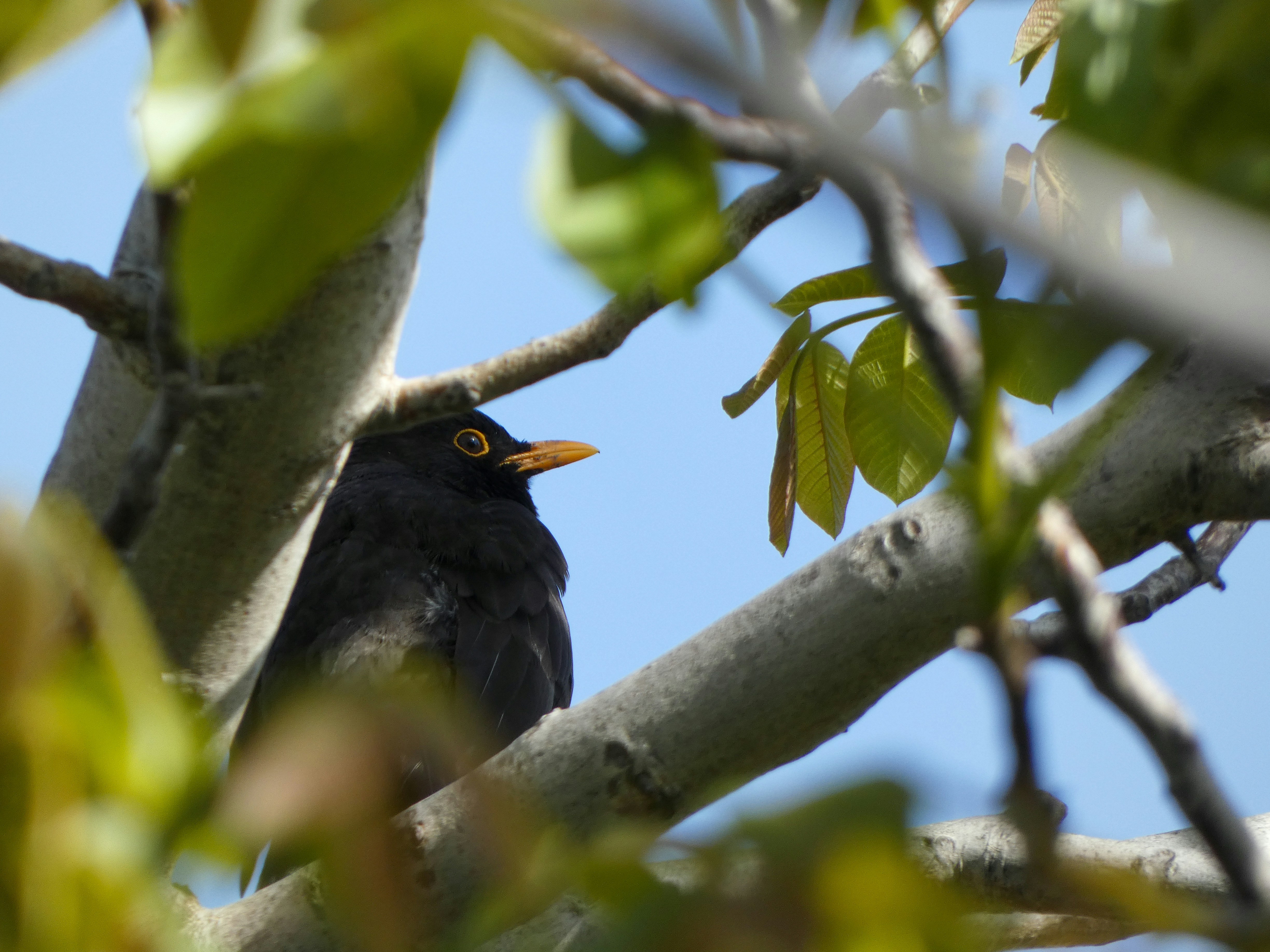 Photo by onderandinc