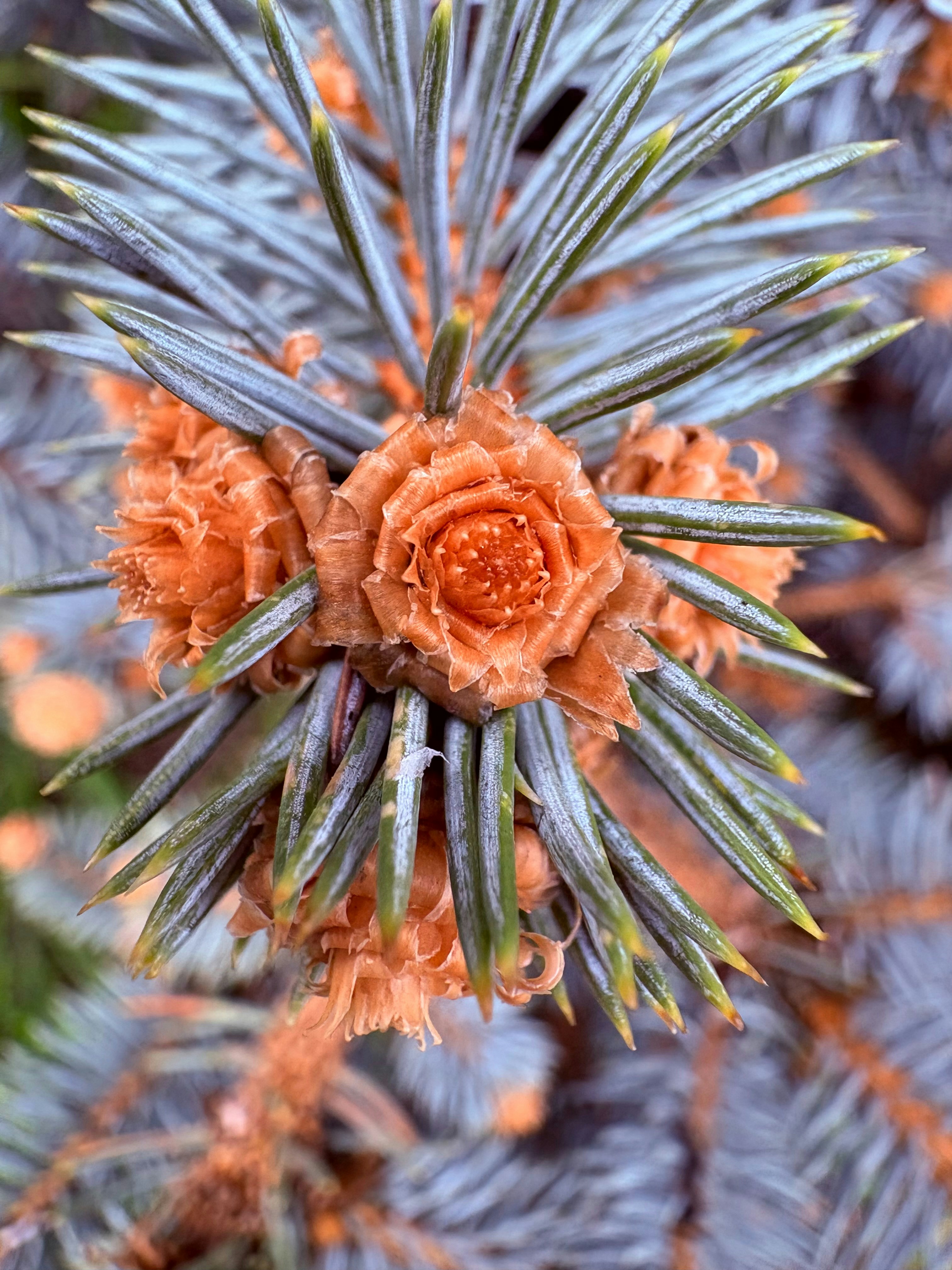 Photo by tashakostyuk