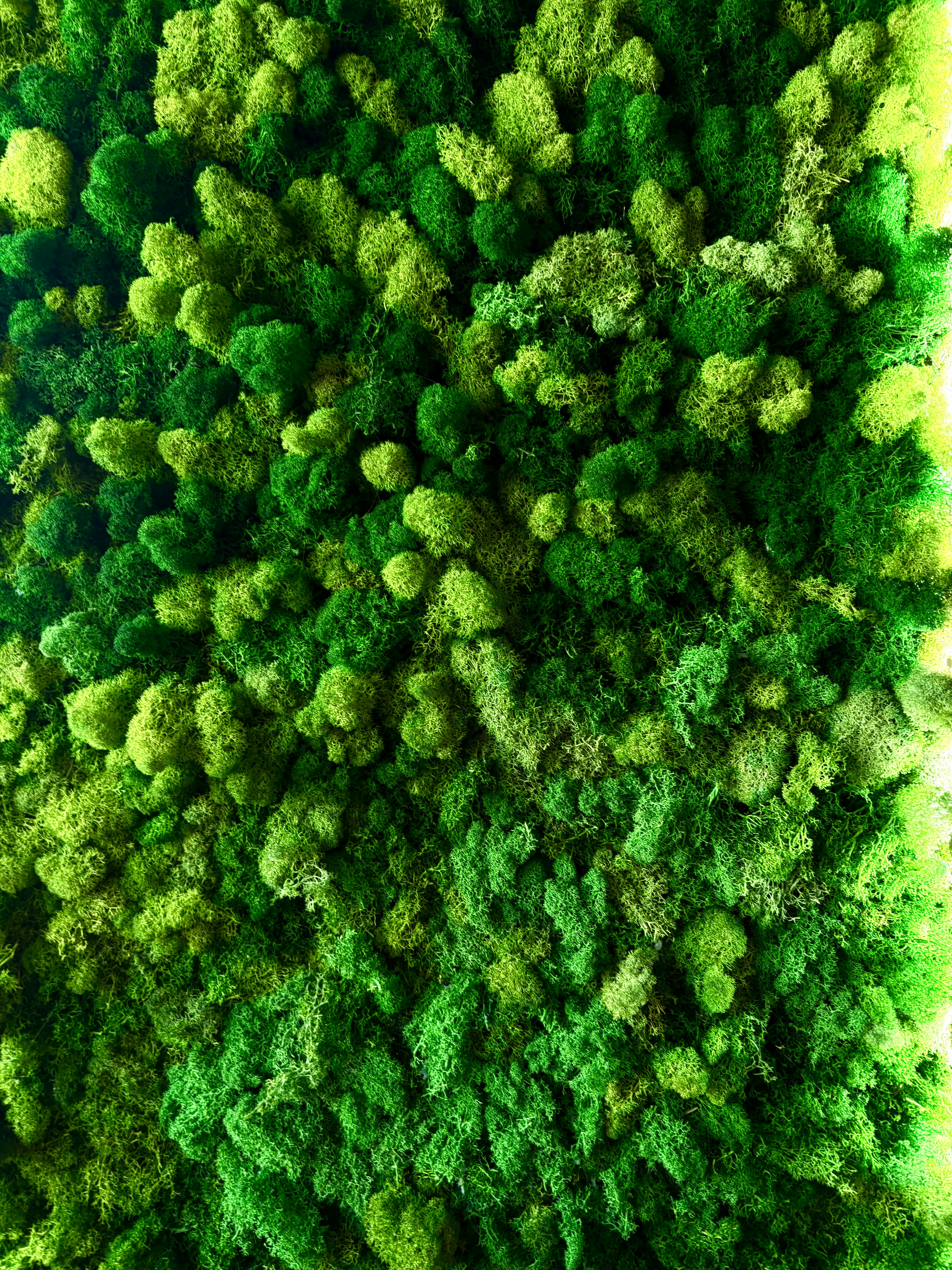 Photo by tashakostyuk