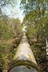 A large pipeline climbs through a lush forest.