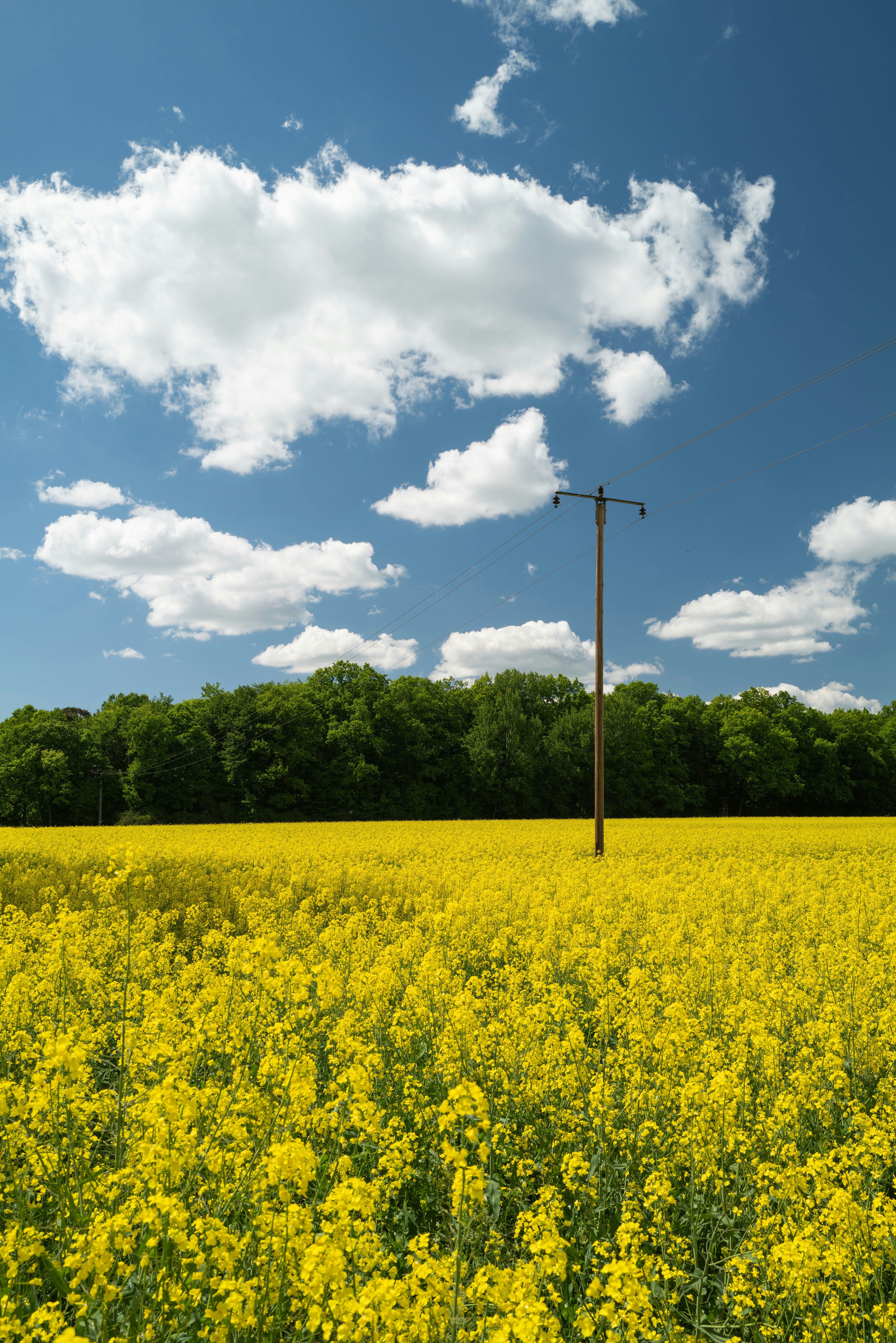 Photo by maikastheimer