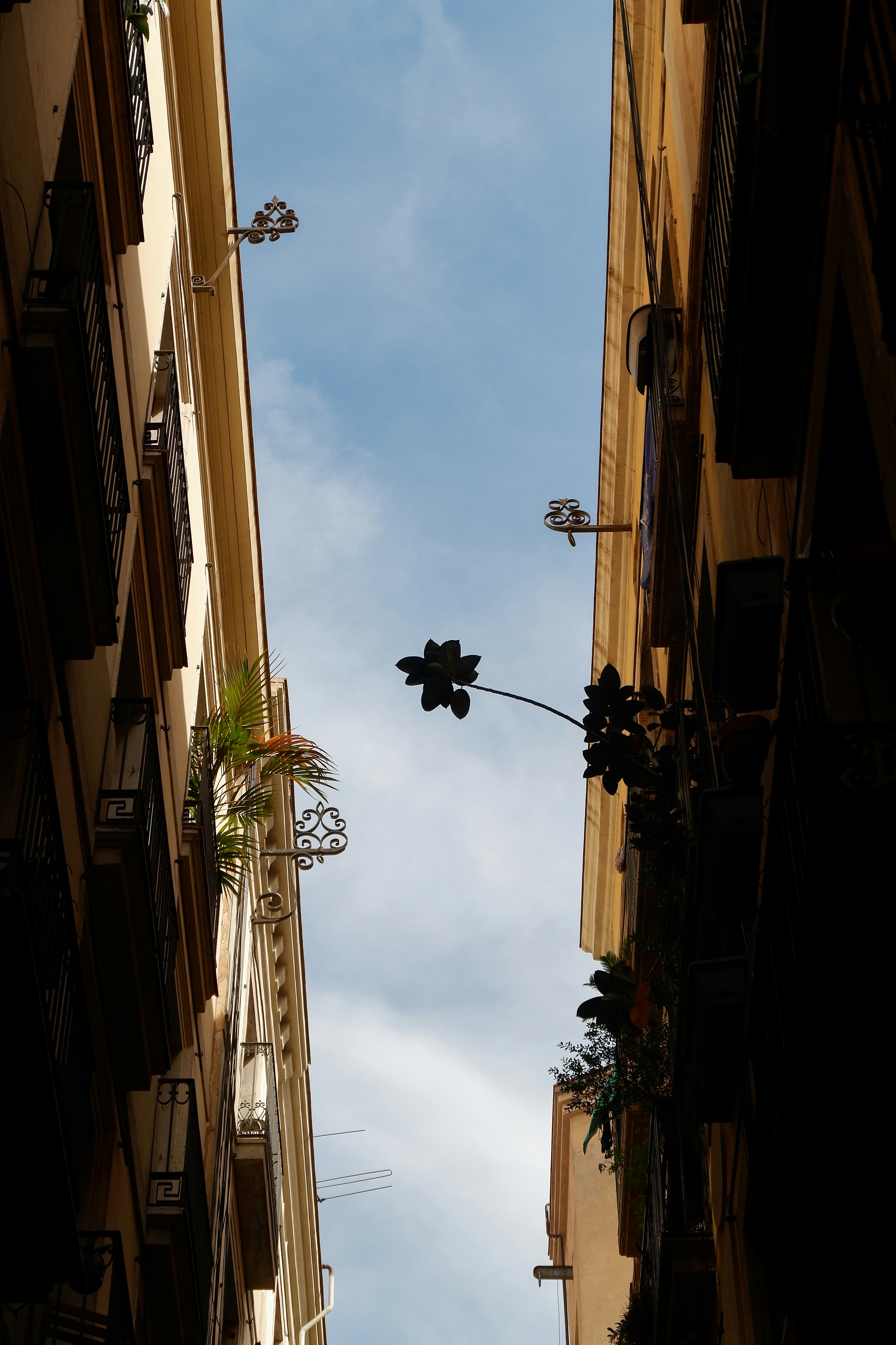 Buildings frame the blue sky above.