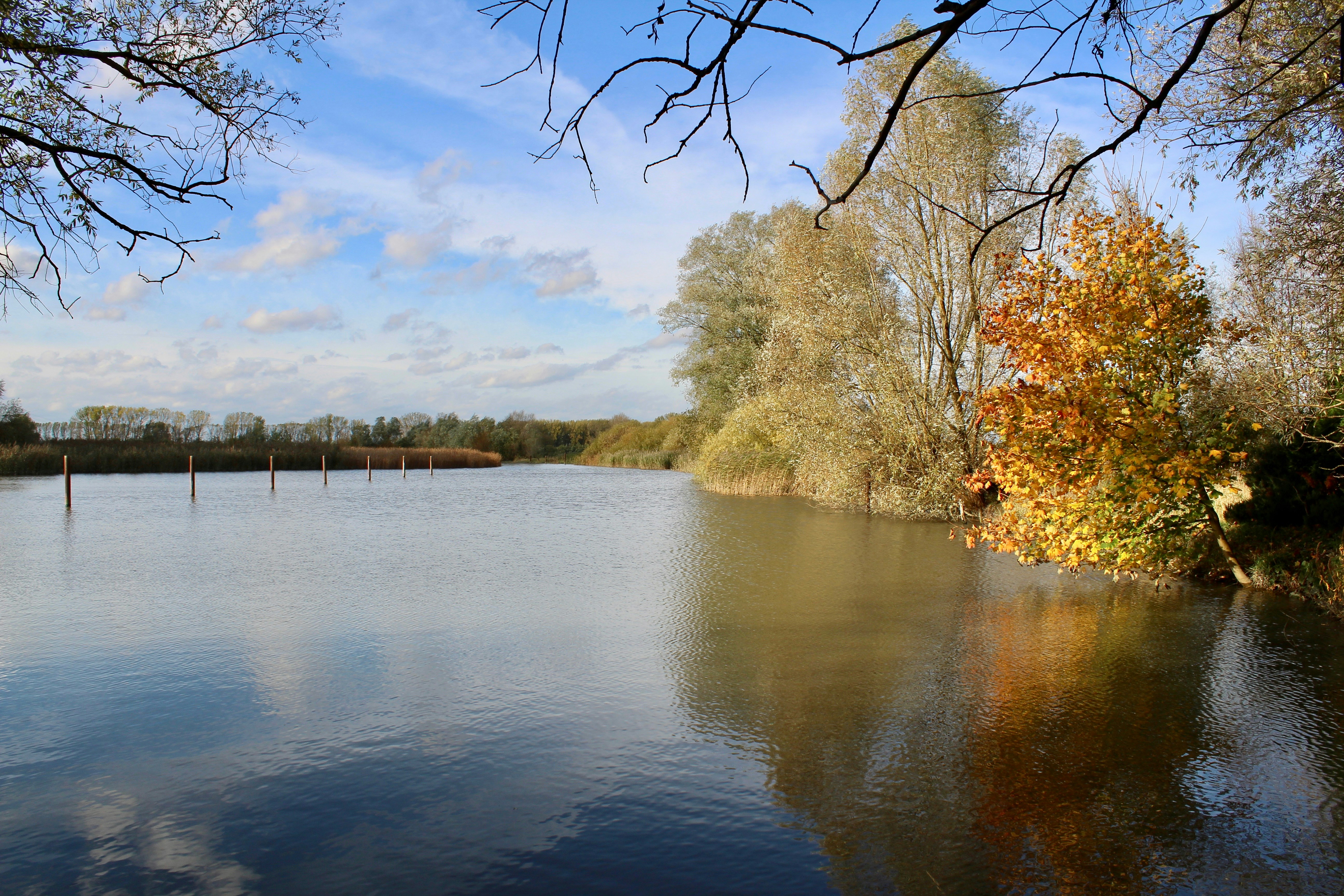 Photo by sanneschroeder