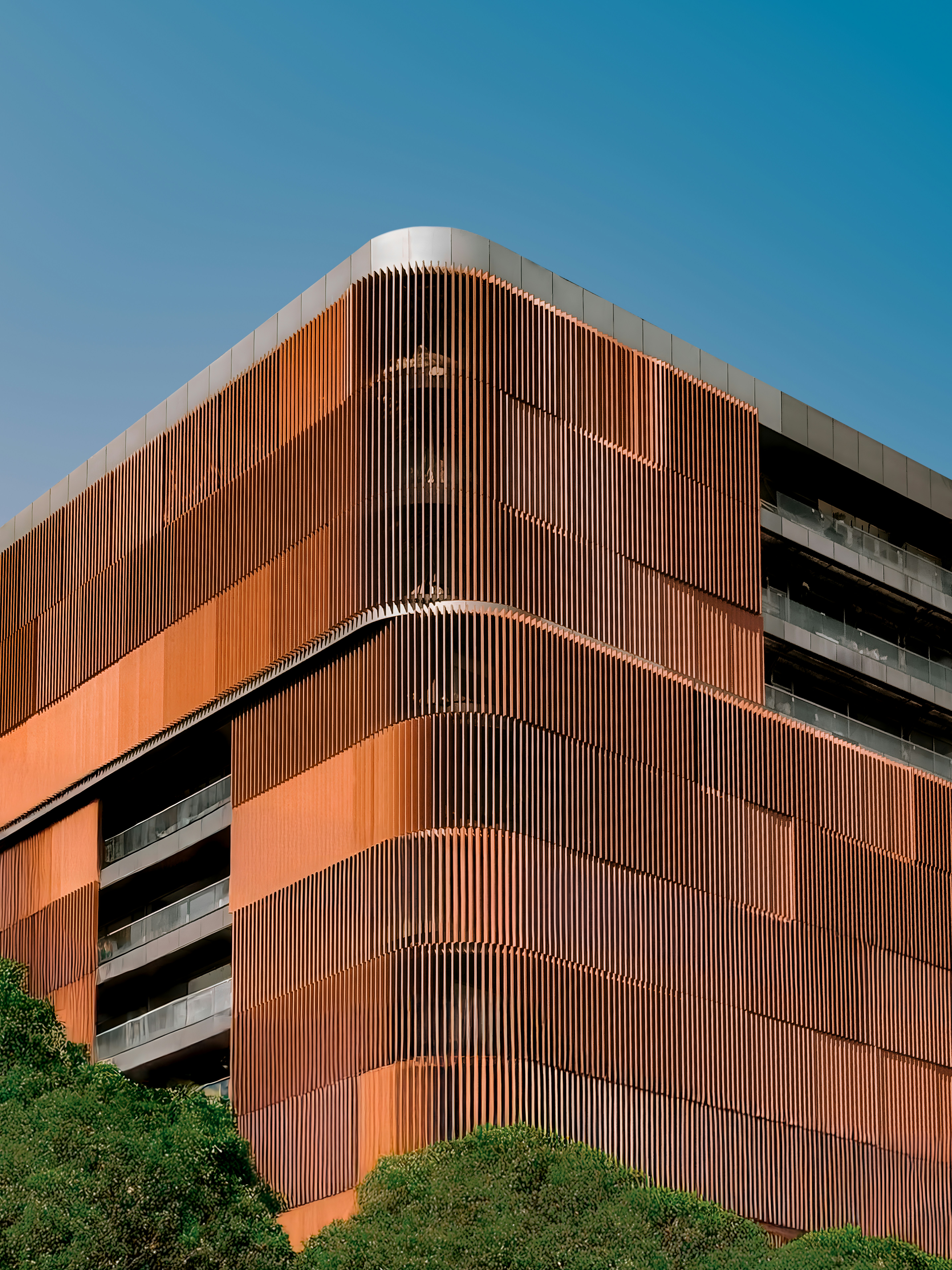 Photo by behy_studio