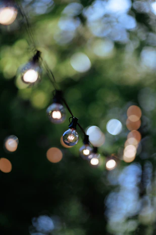 String lights glow, creating a beautiful, soft bokeh.
