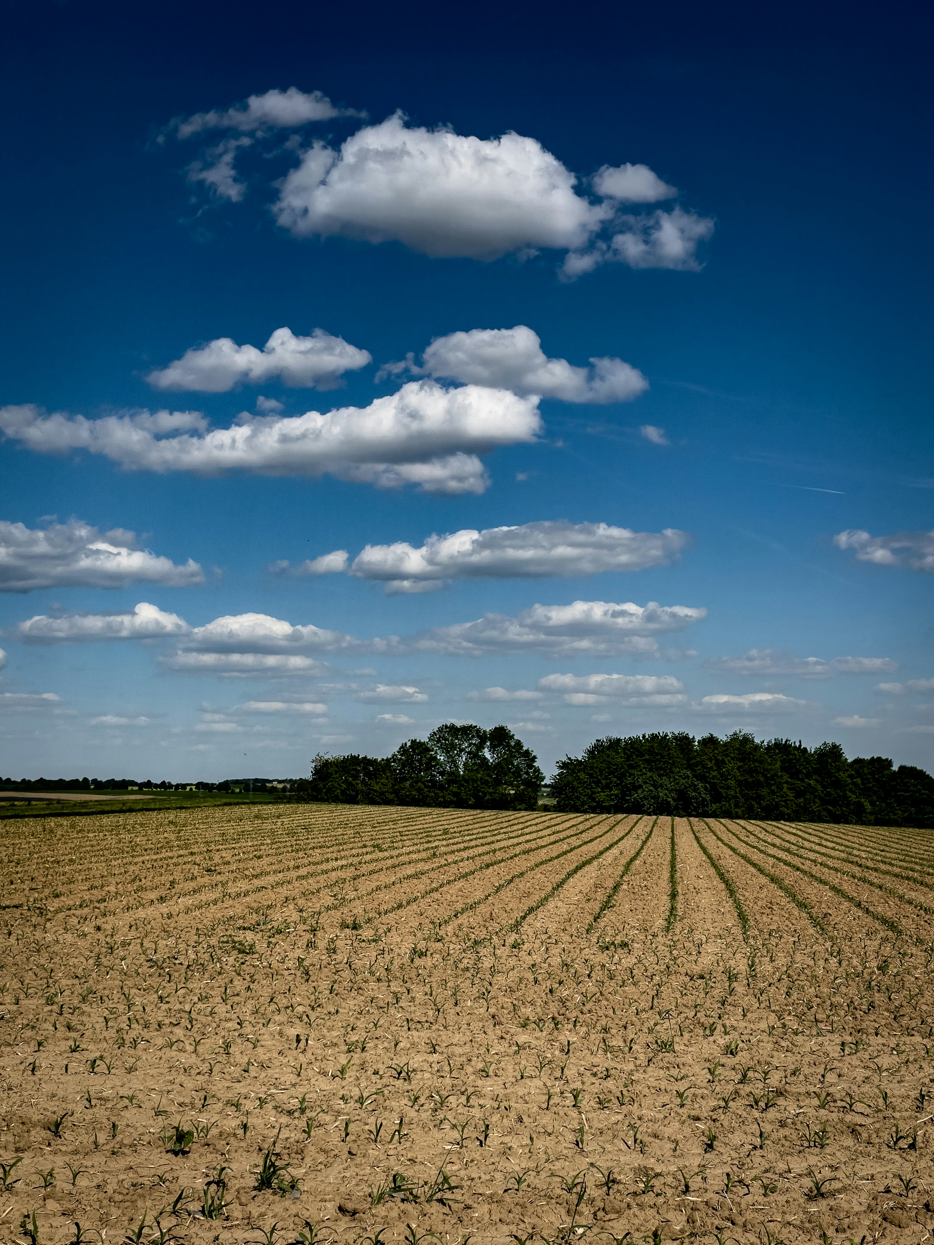 Photo by hdbernd