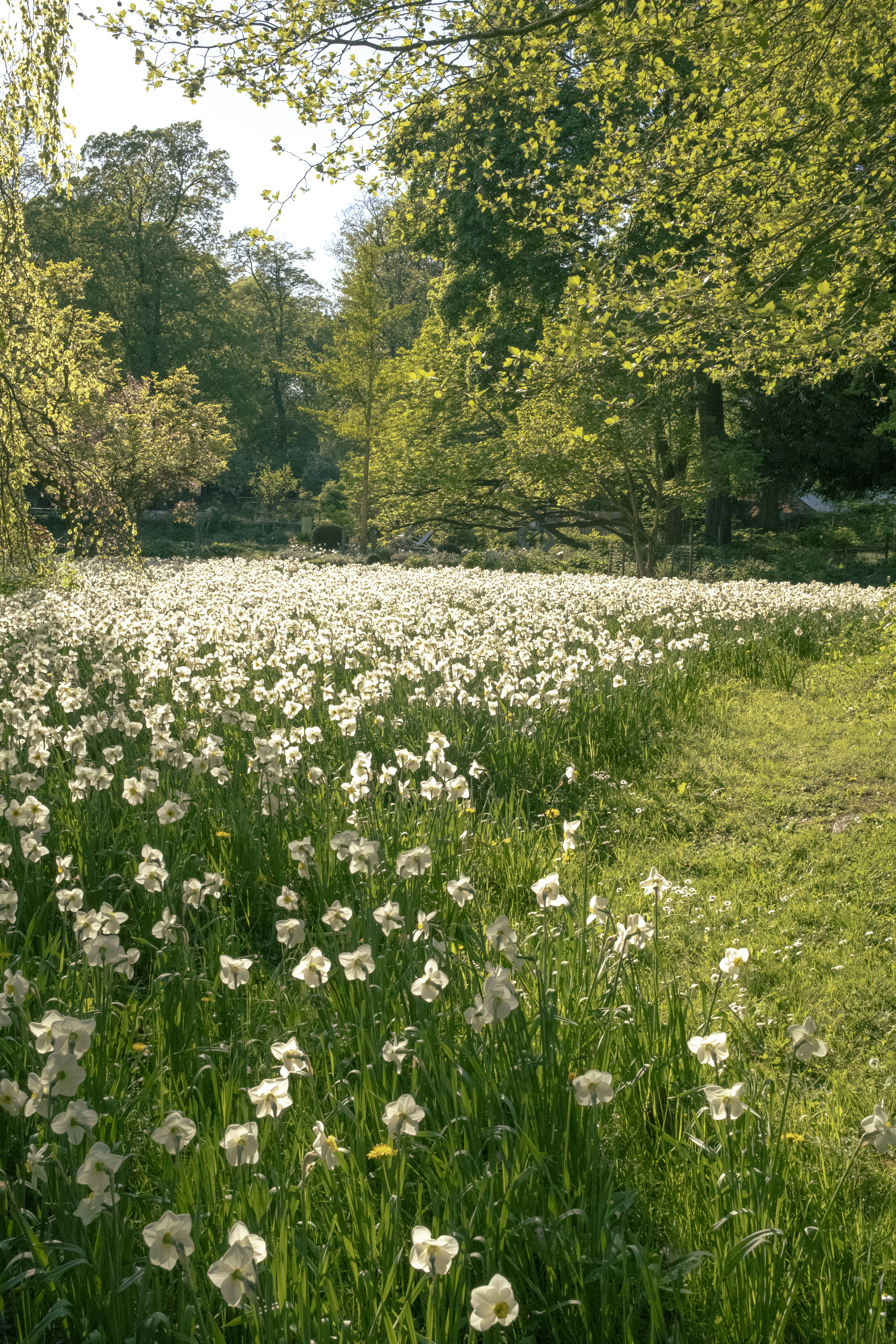 Photo by hvidkanin89