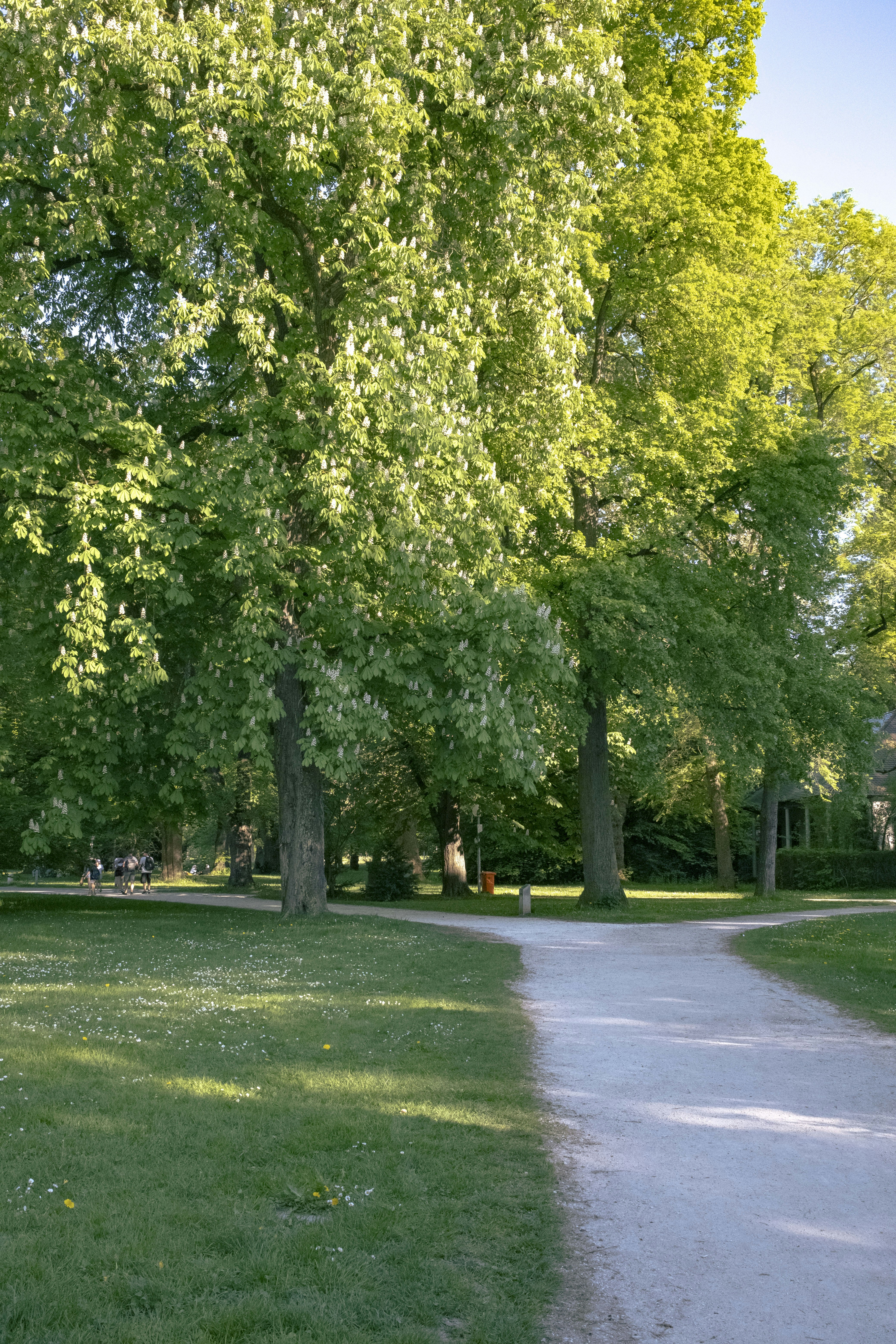 Photo by hvidkanin89