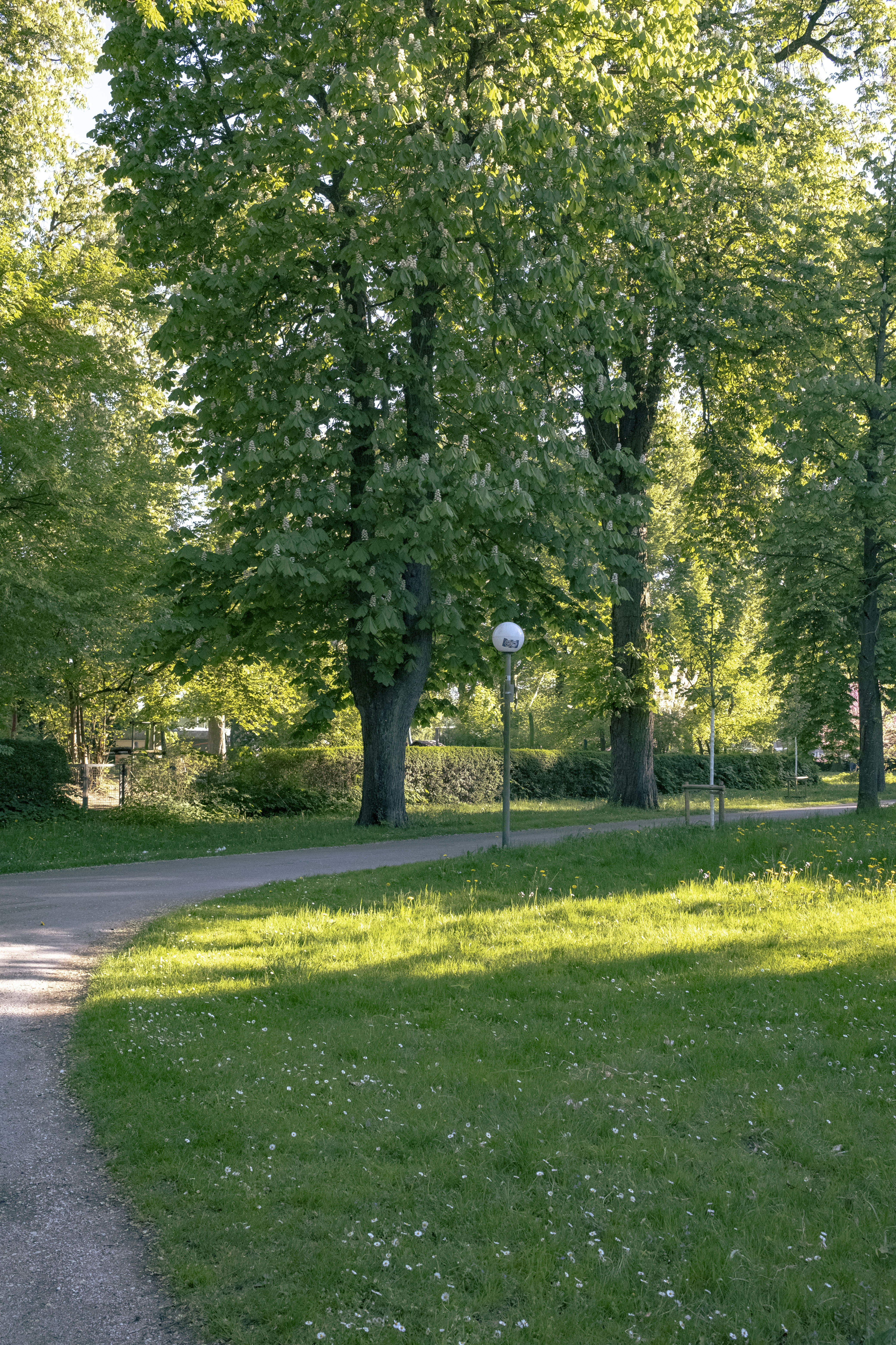 Photo by hvidkanin89