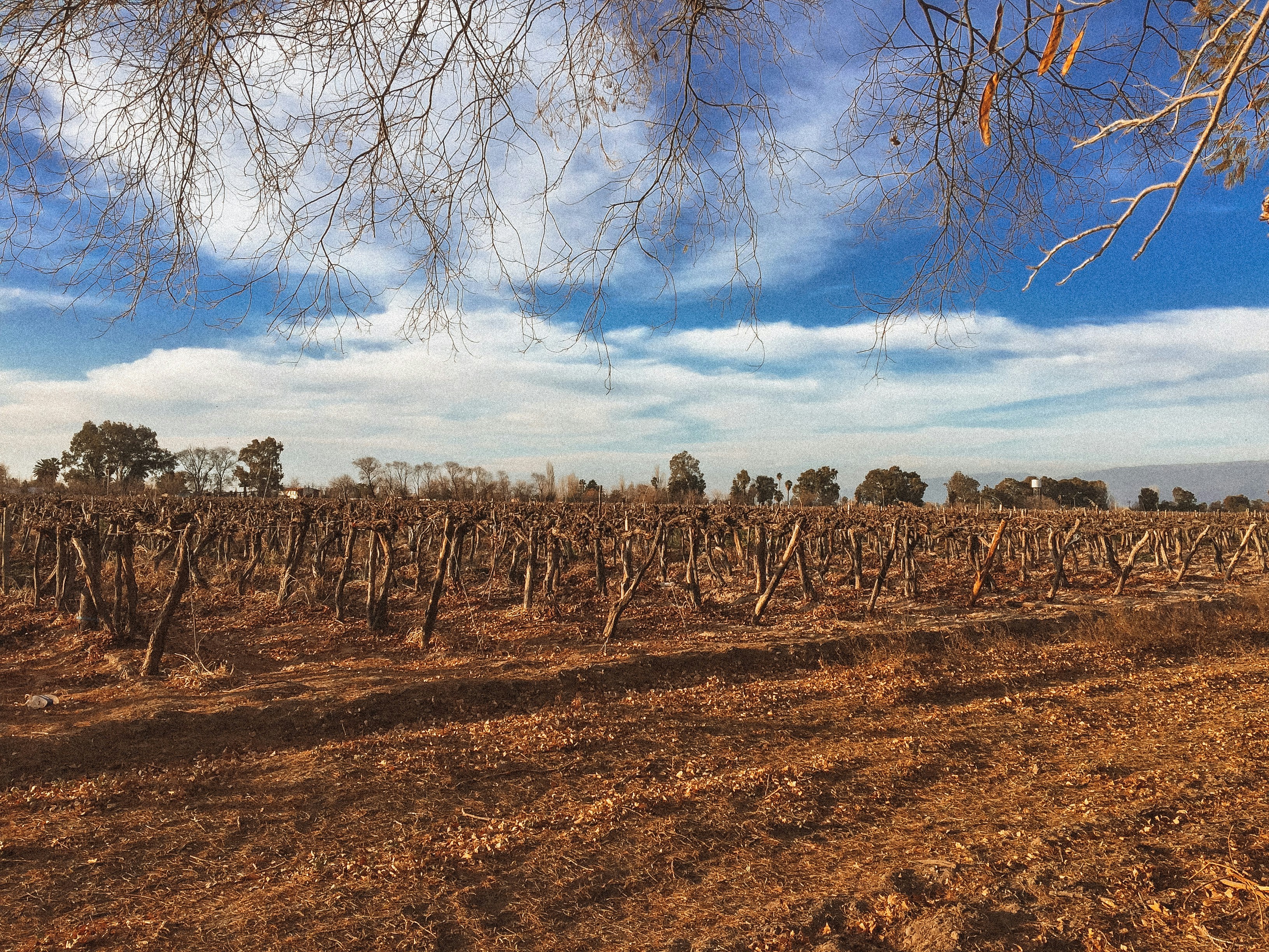 Photo by gabriela_parra