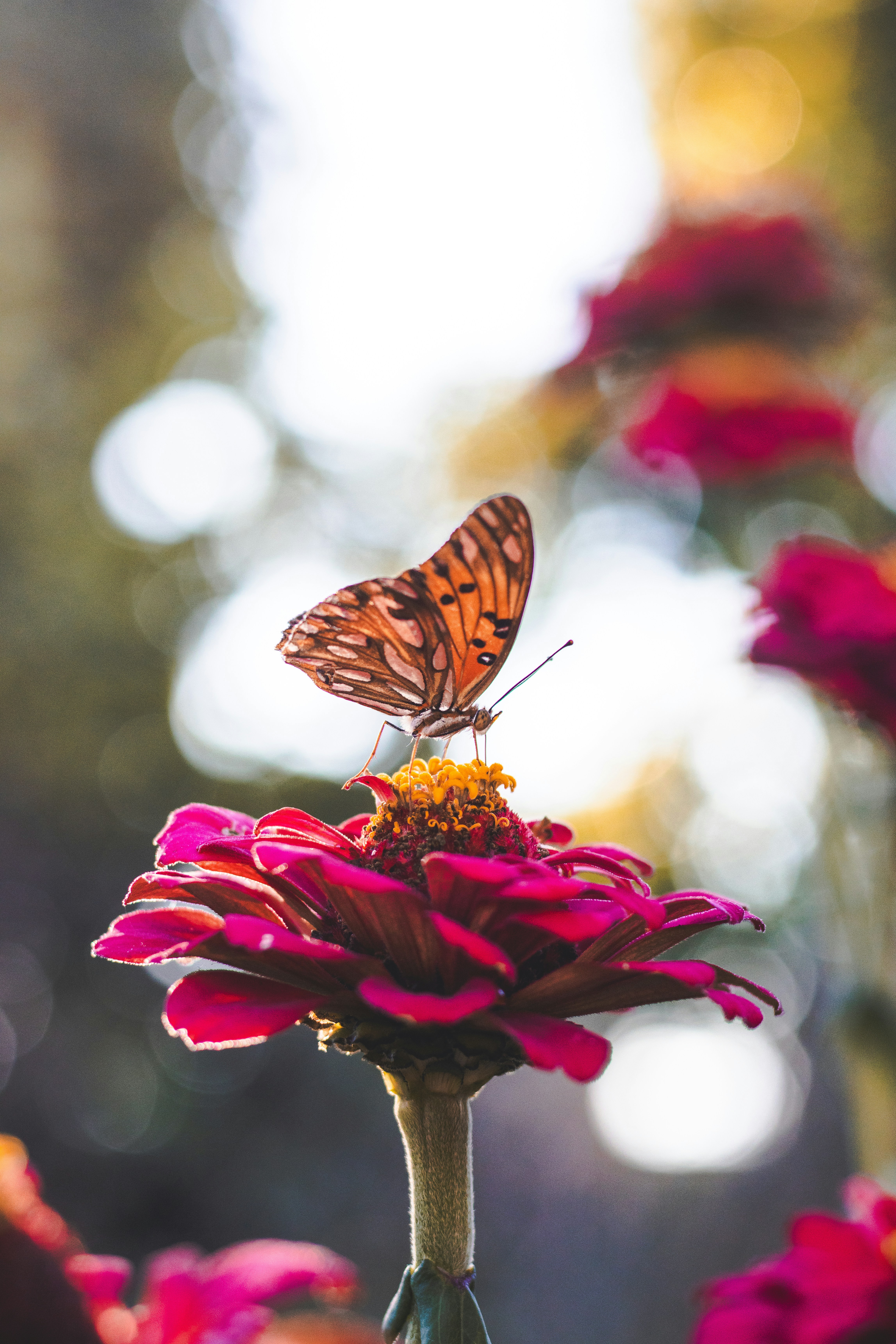 Photo by ggiqueaux