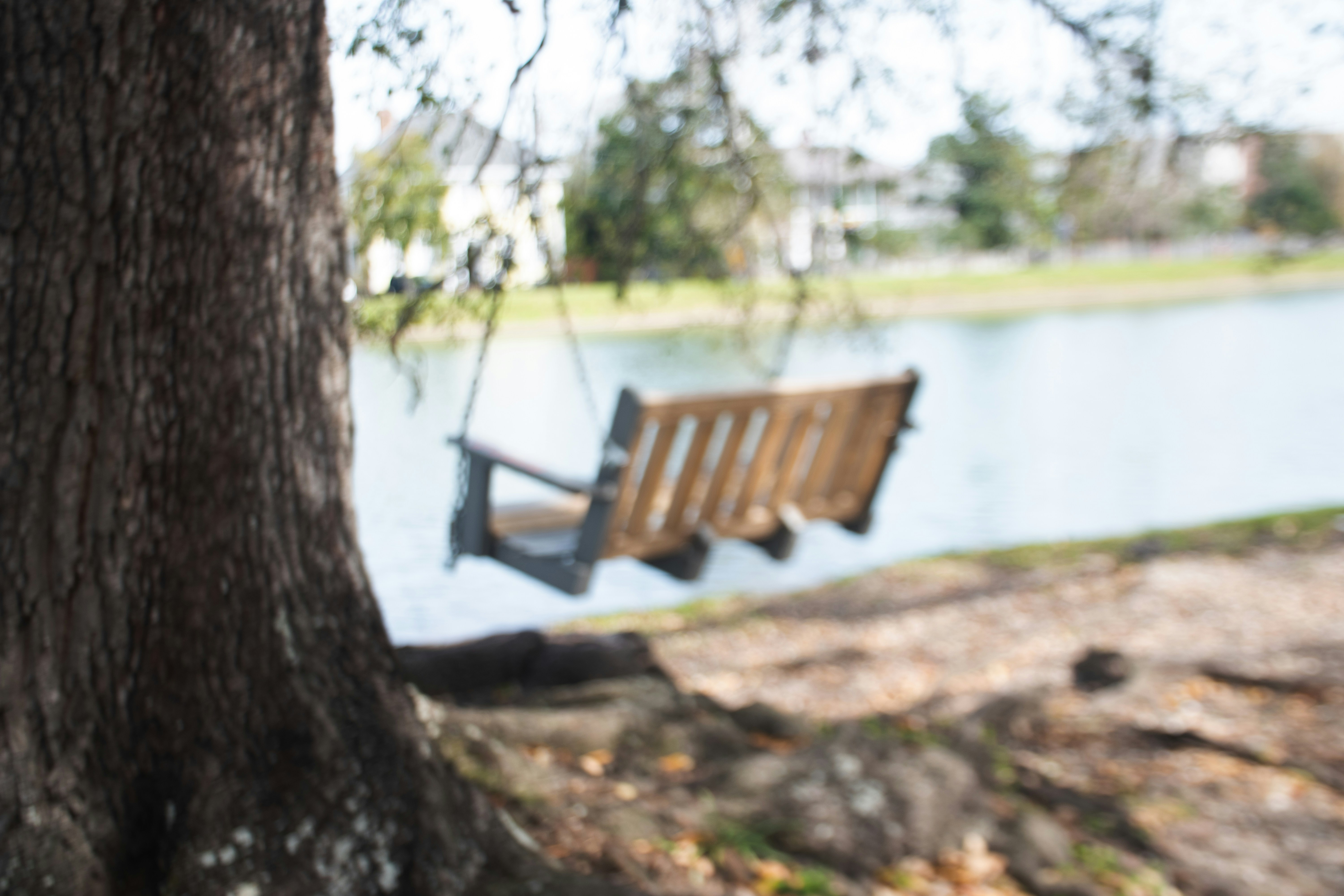 Photo by racoocoonie