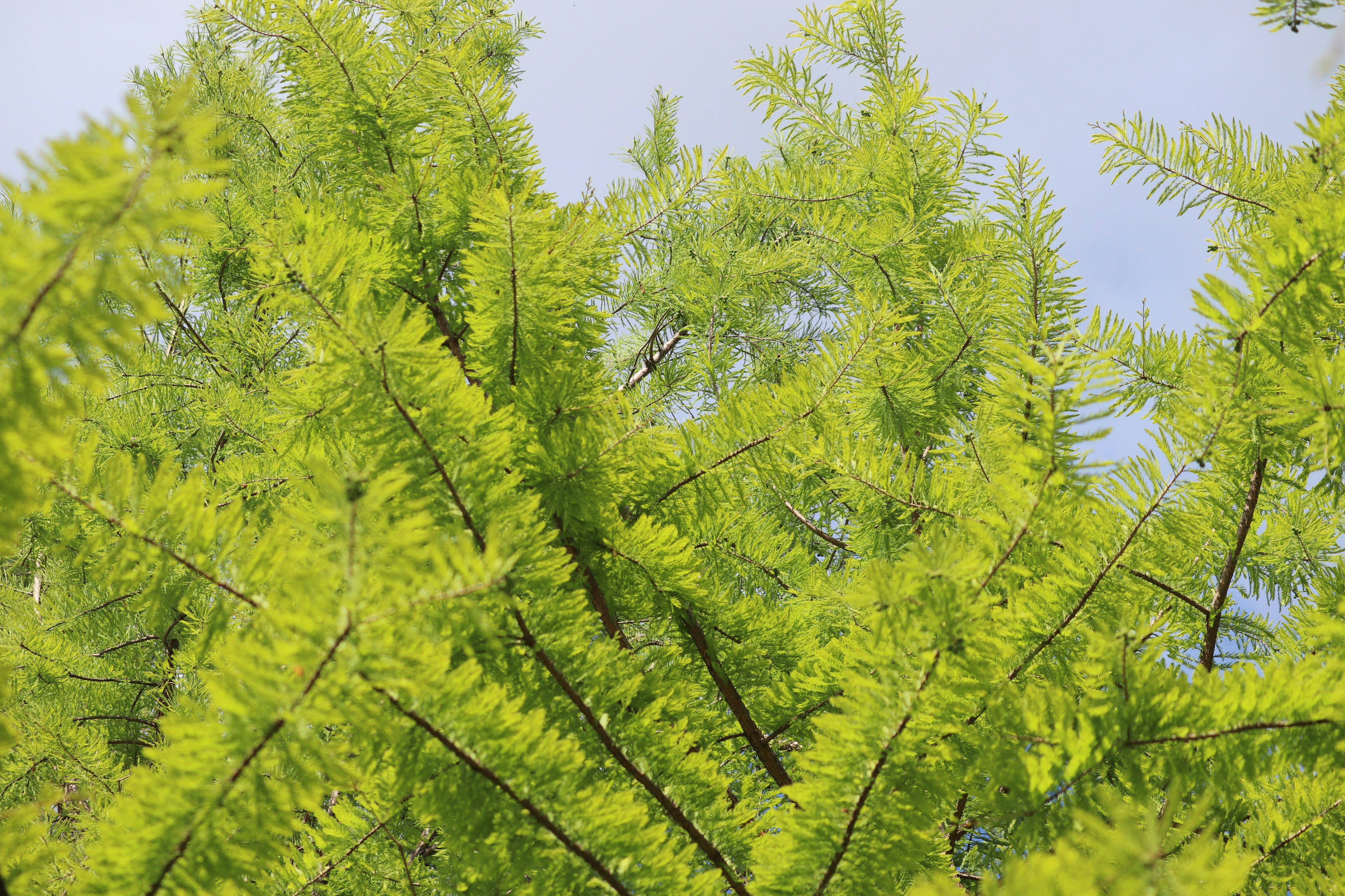 Photo by fotografialuivlad