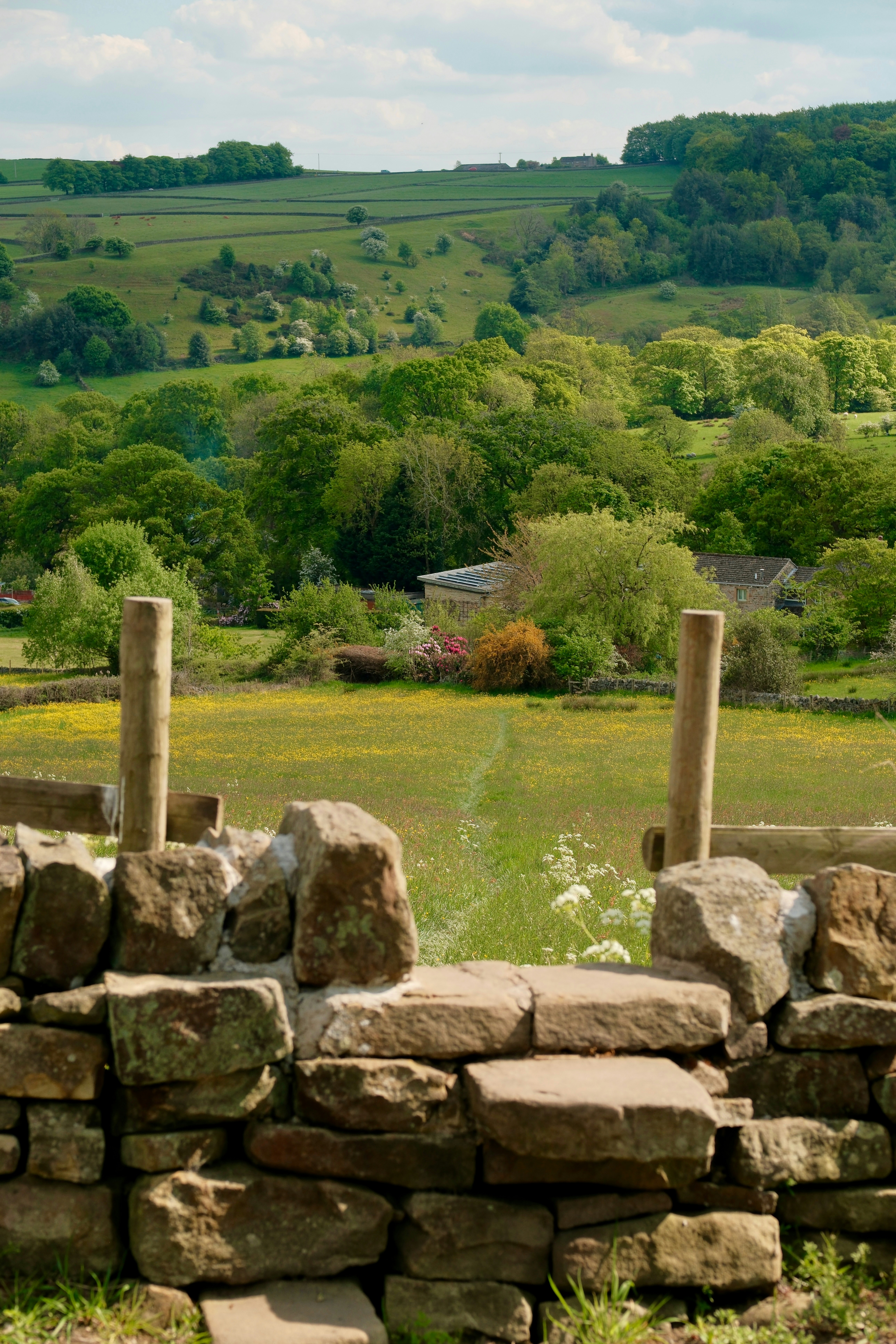 Photo by alekseixagafonov