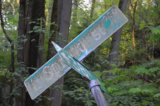 Street signs in a lush, green, wooded area