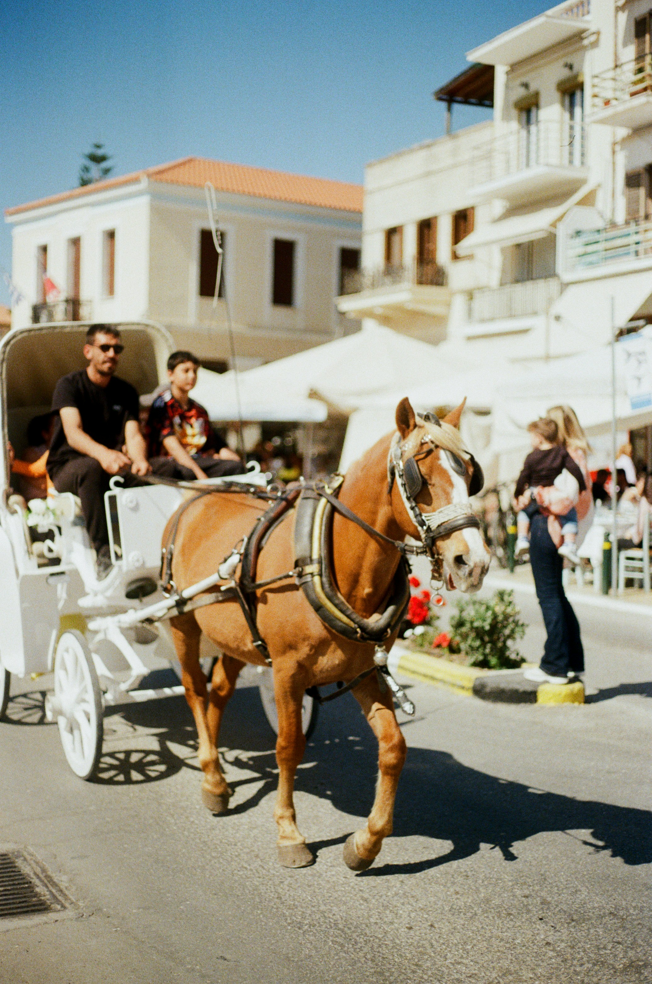 Photo by babikacharava