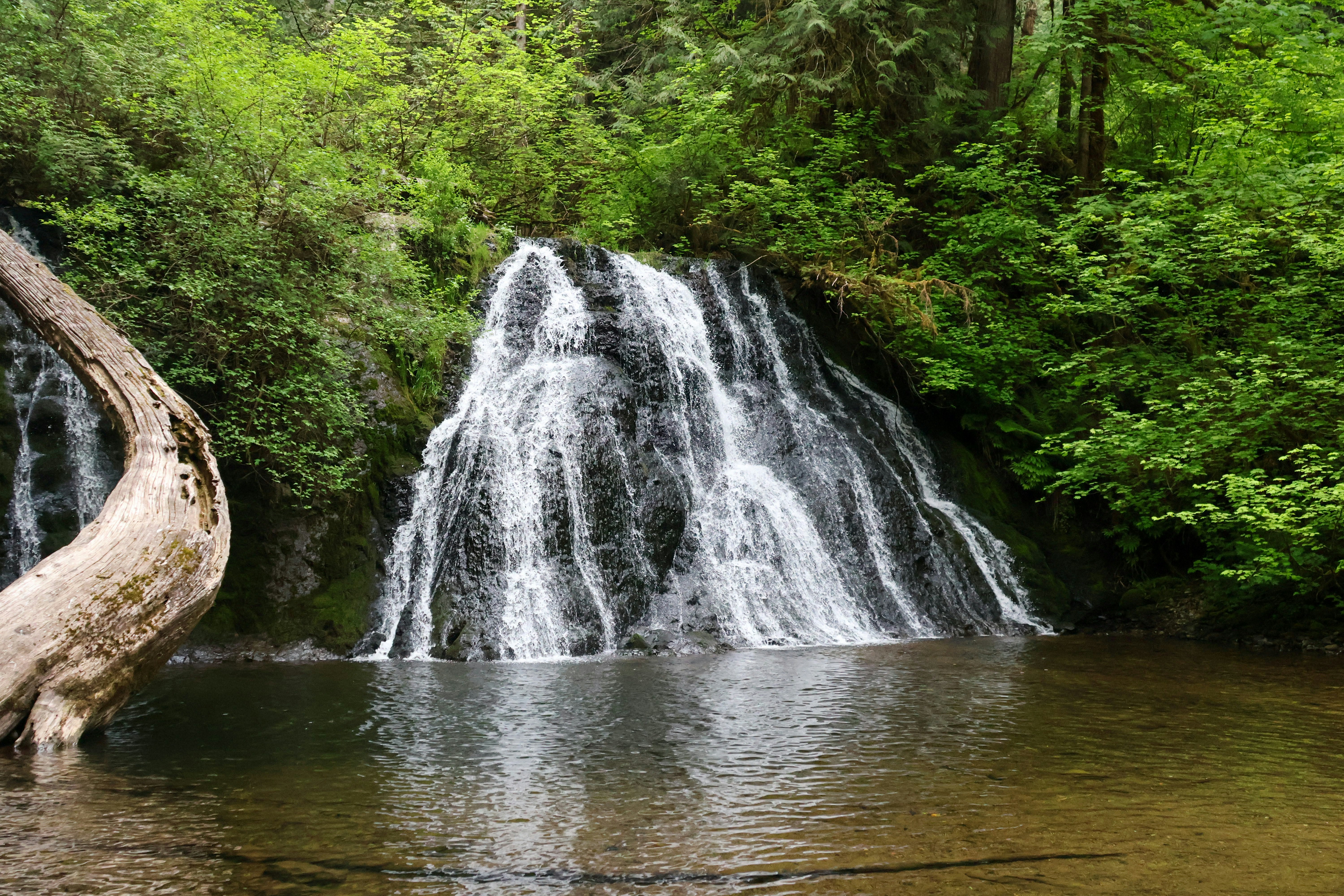 Willare, Western Australia