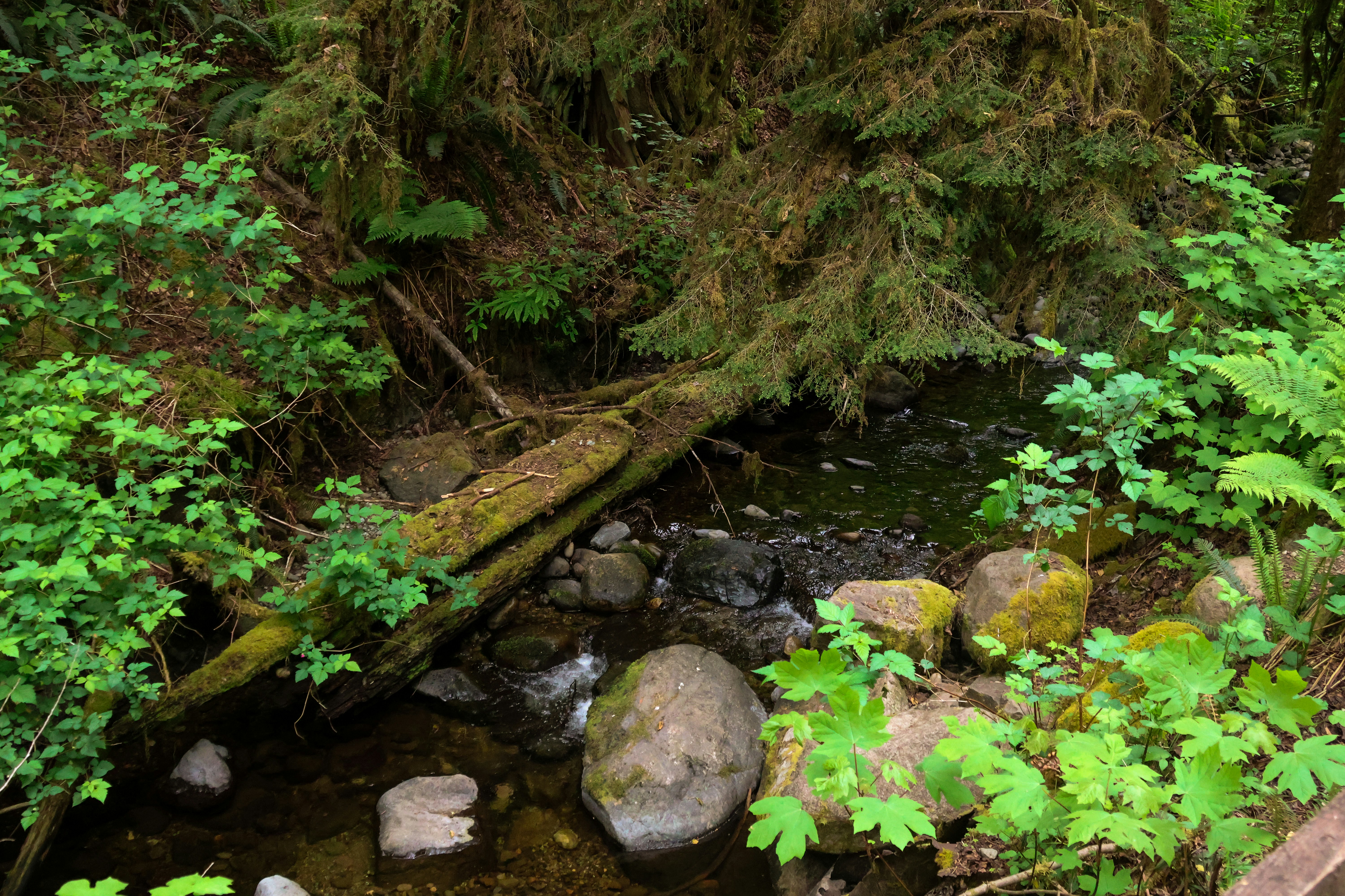 Photo by traveleroohlala