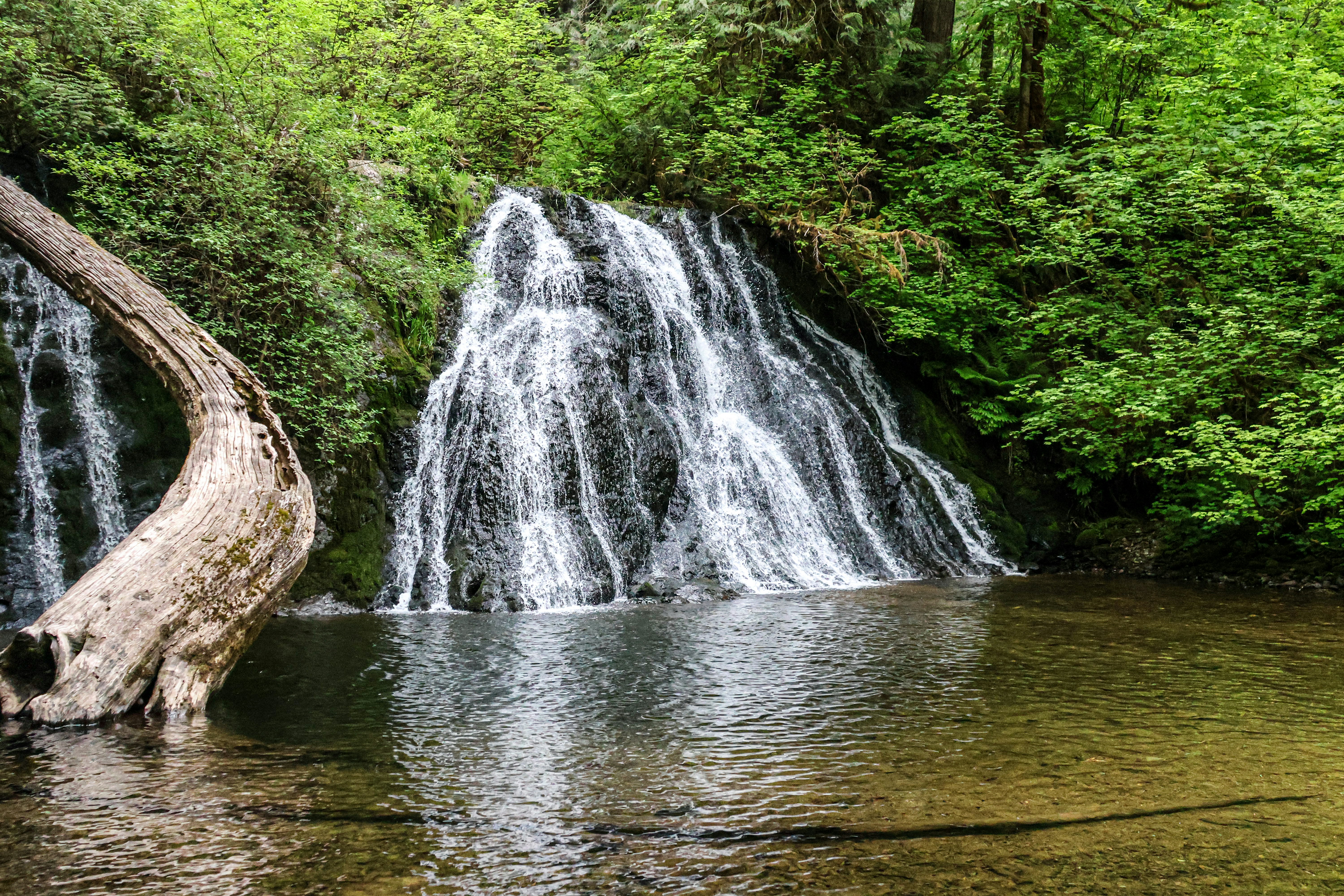 A cachoeira cai em cascata em uma piscina límpida cercada por árvores.