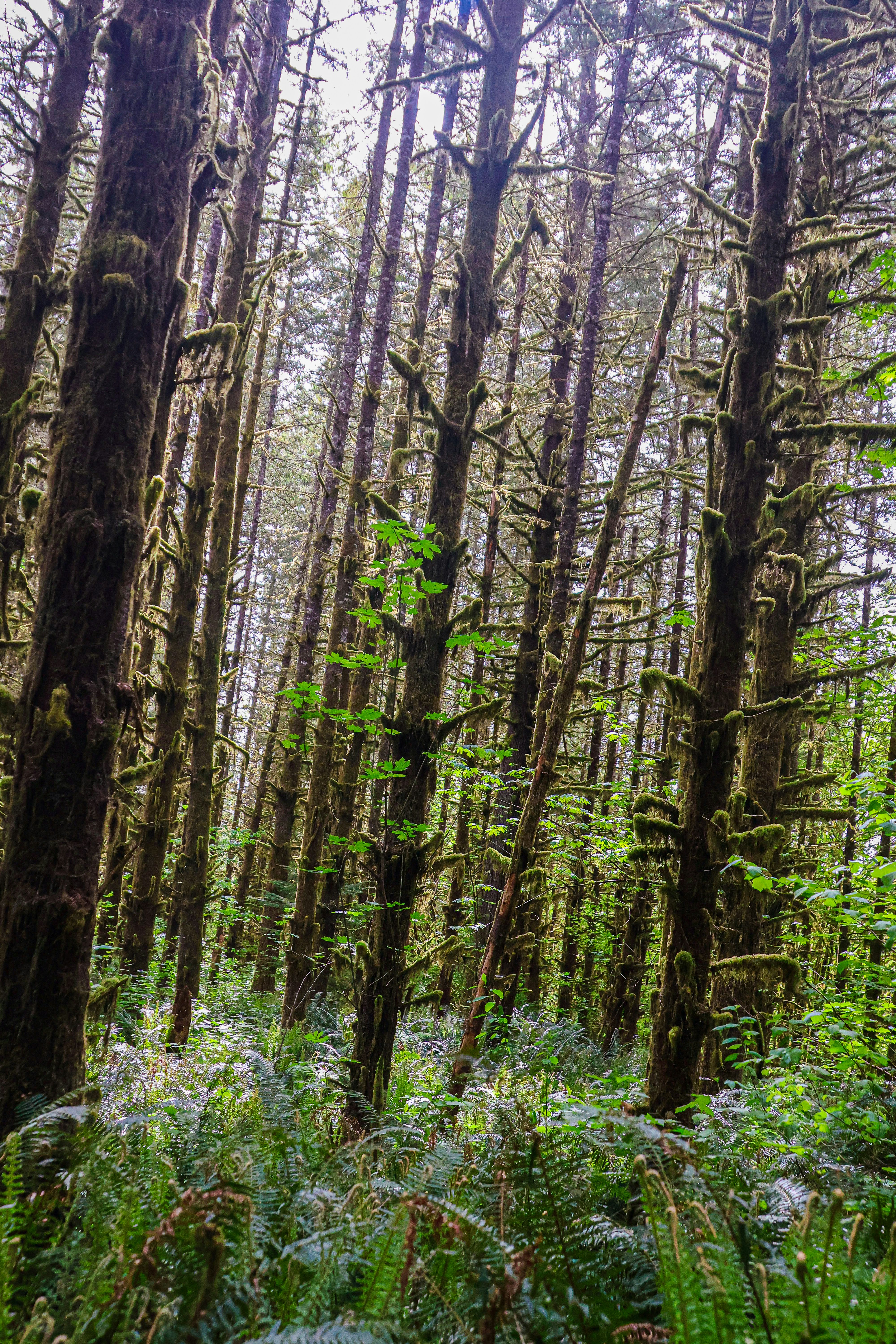 Photo by traveleroohlala