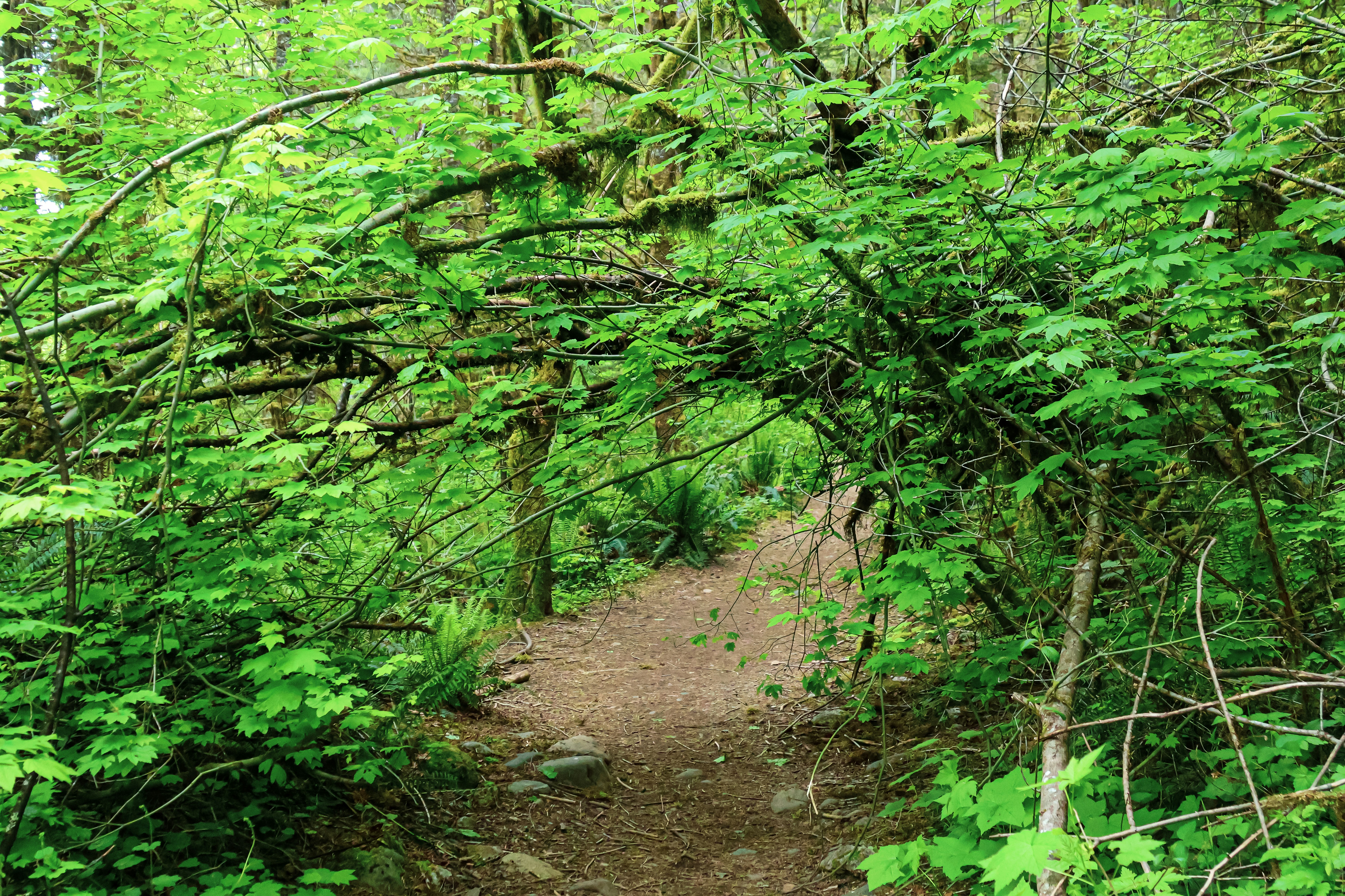 Photo by traveleroohlala