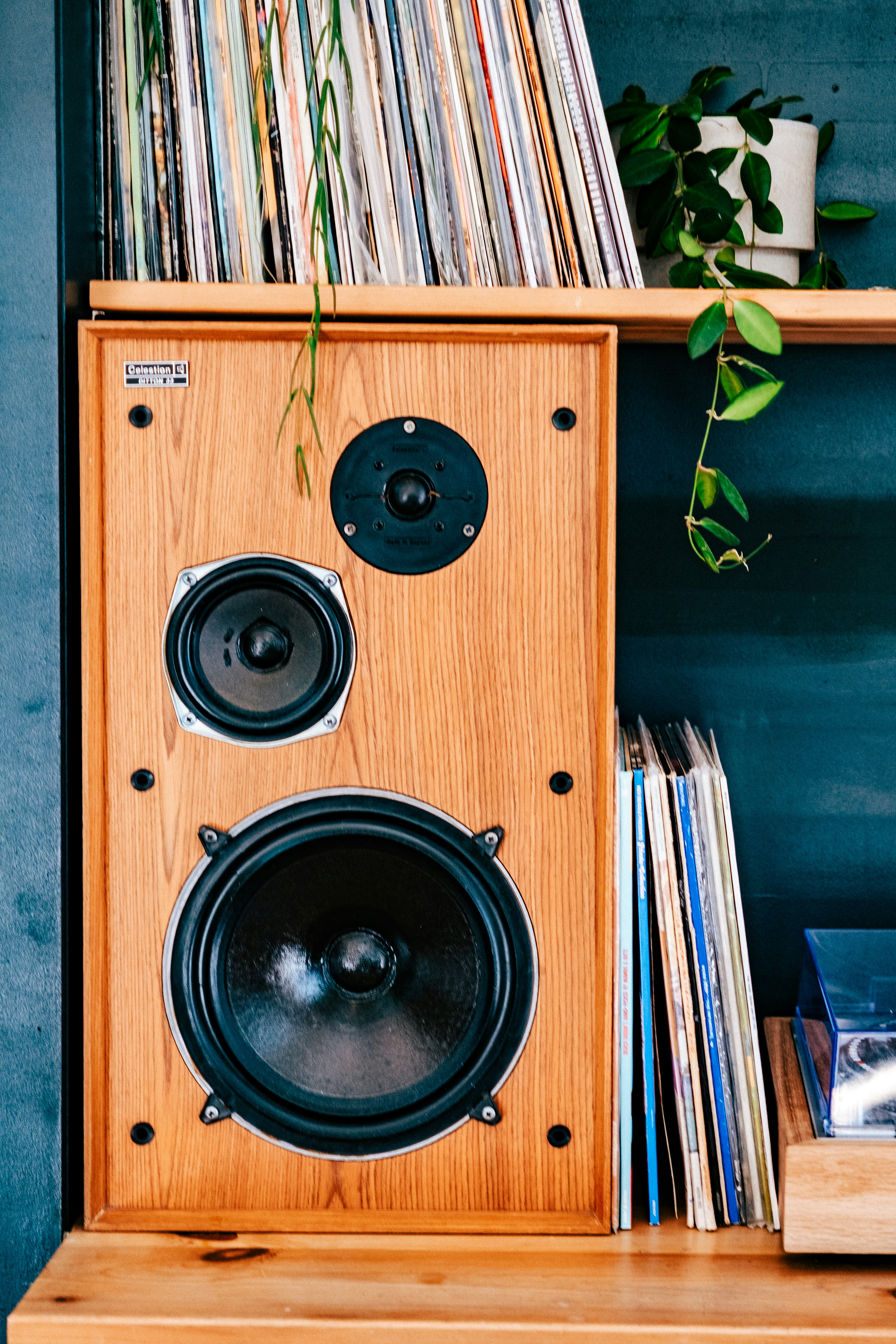 A wooden speaker sits near vinyl records.