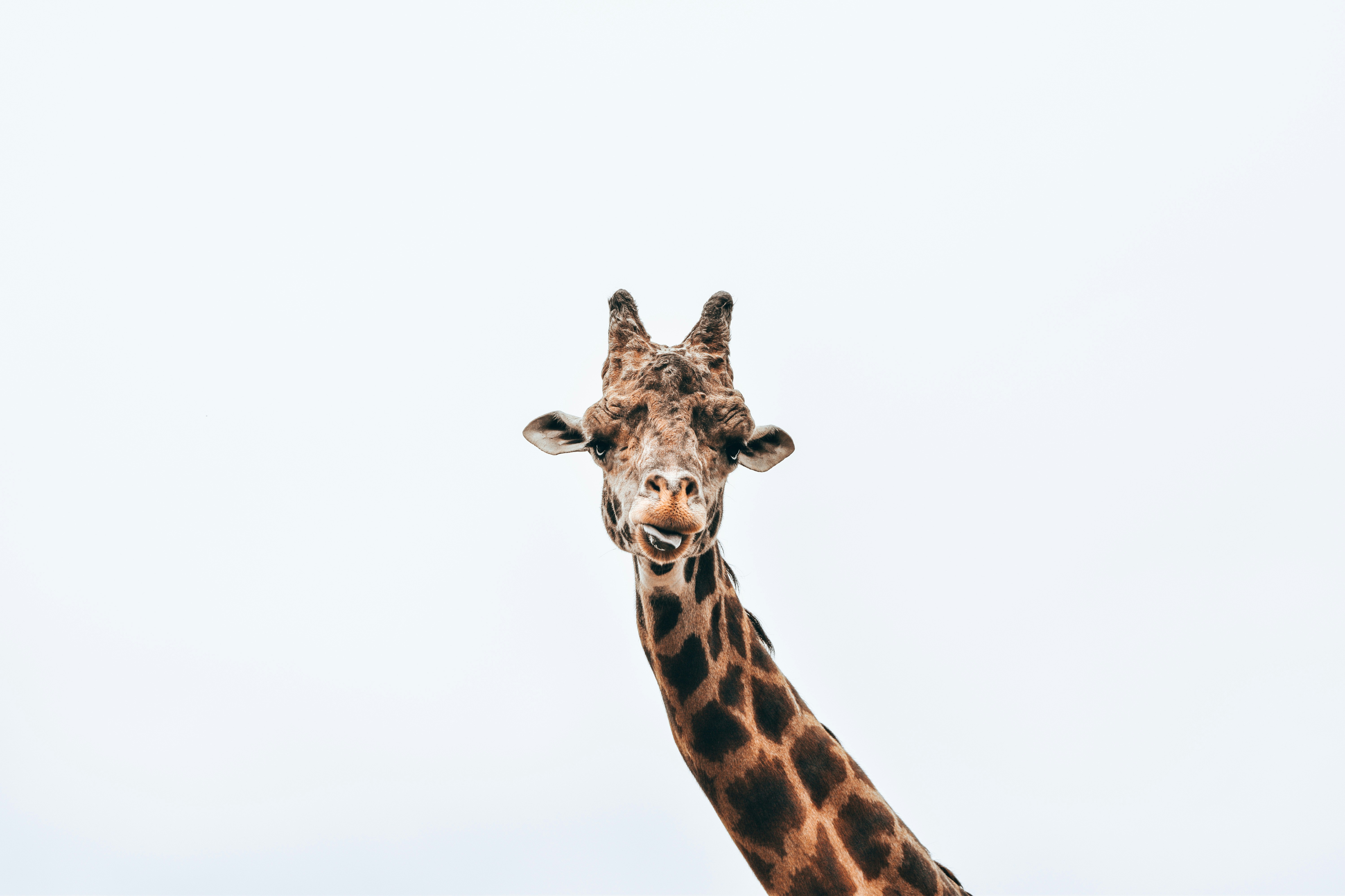 Photo by meganmajocha