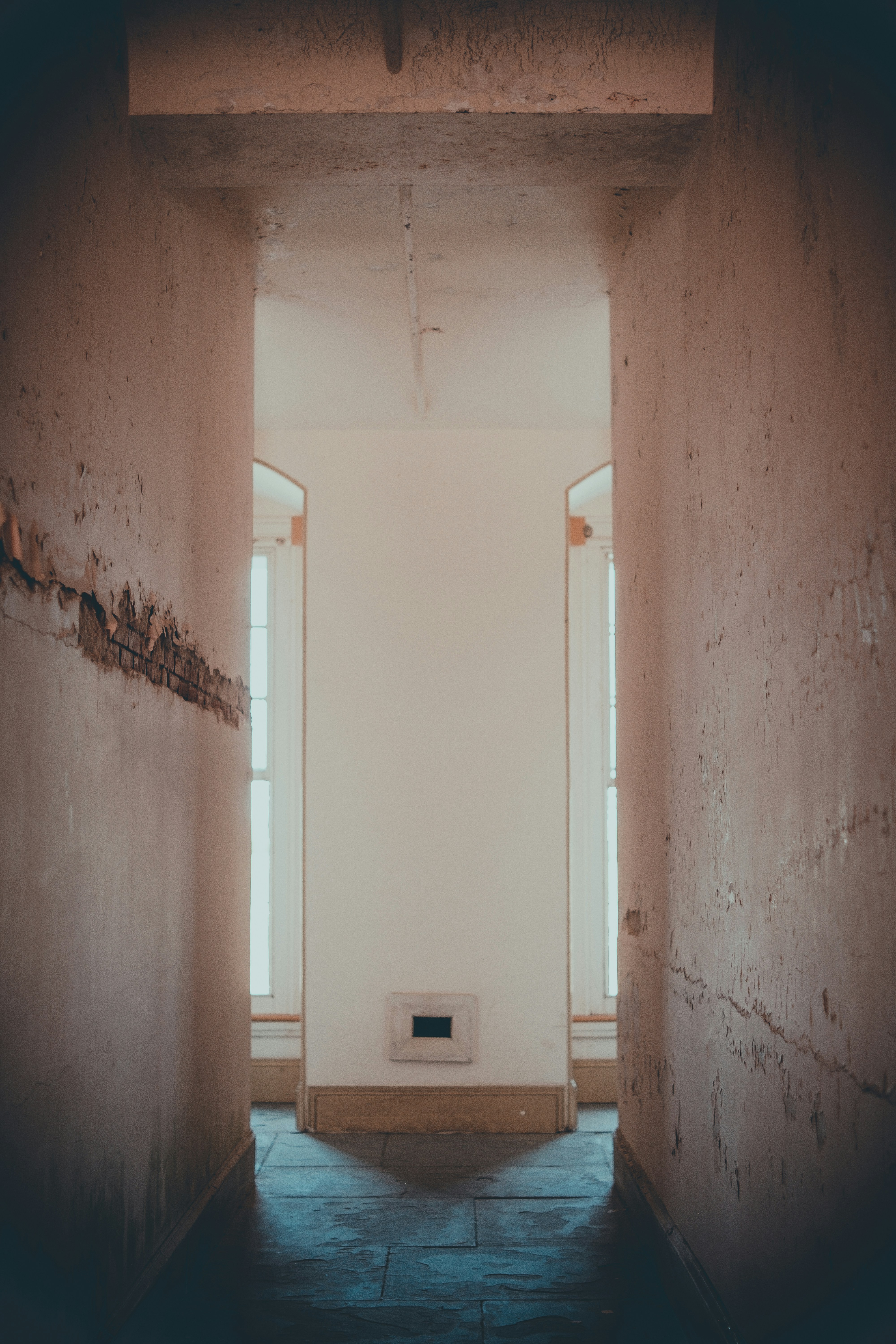 Photo by magicunsplash