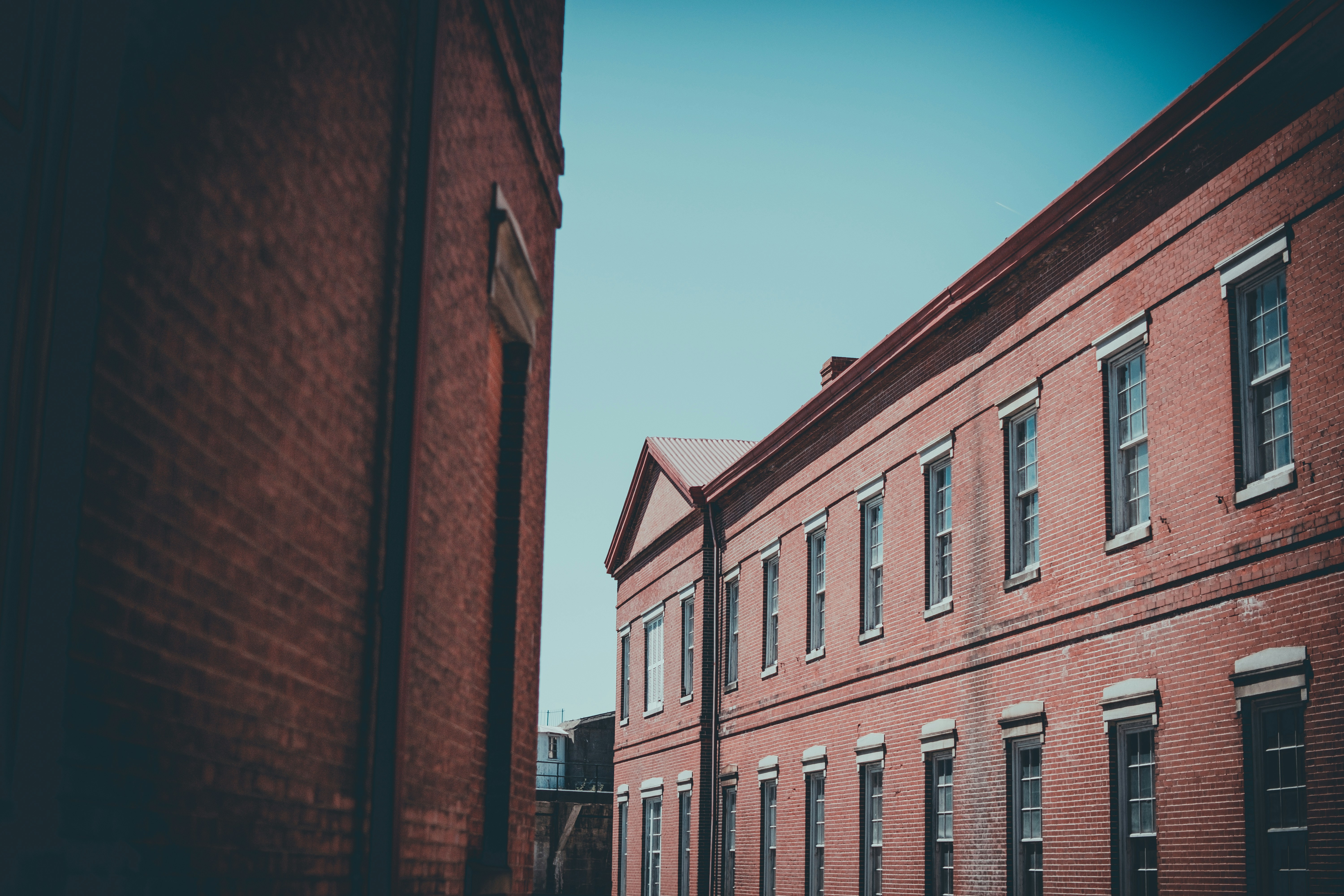 Photo by magicunsplash