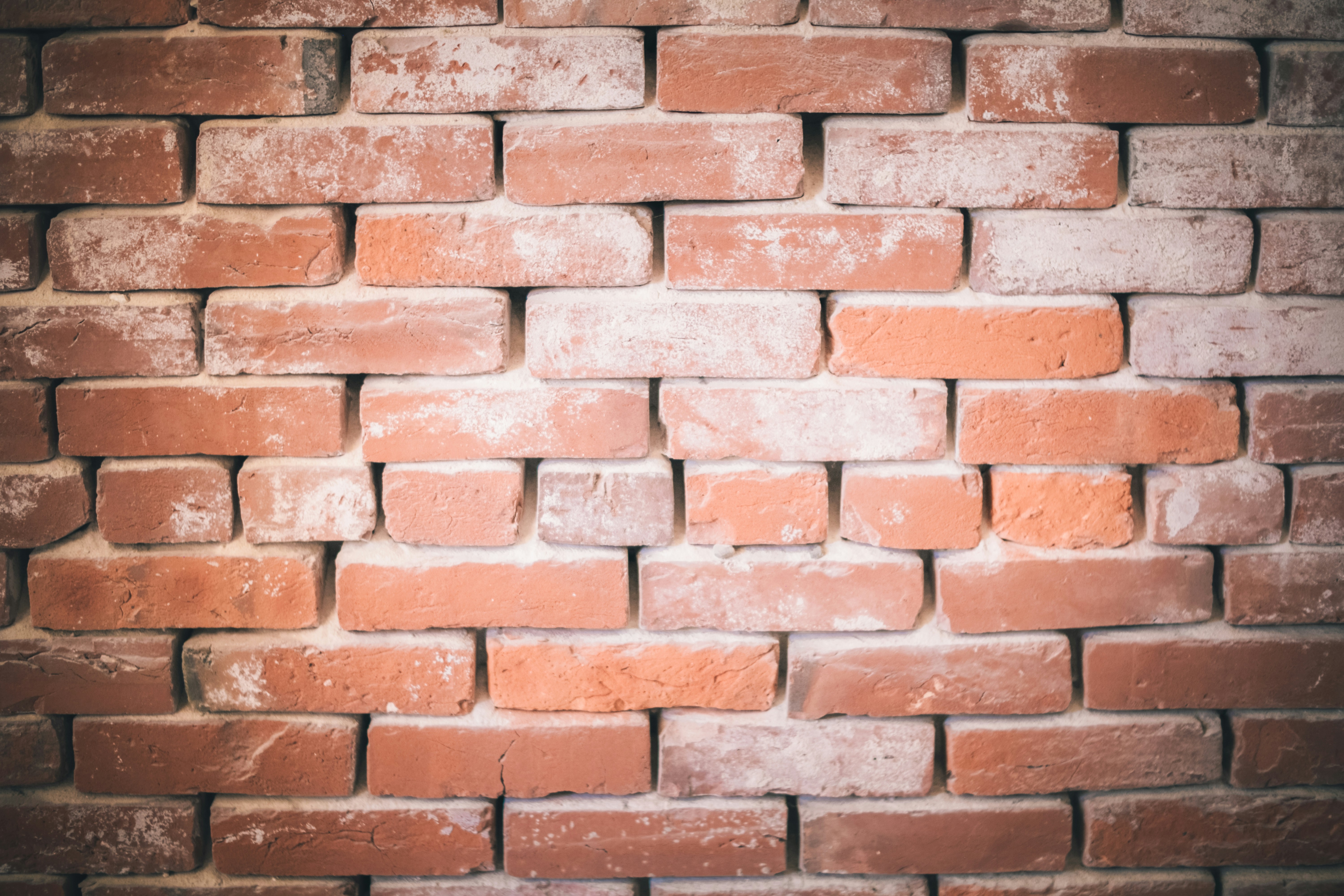 Photo by magicunsplash