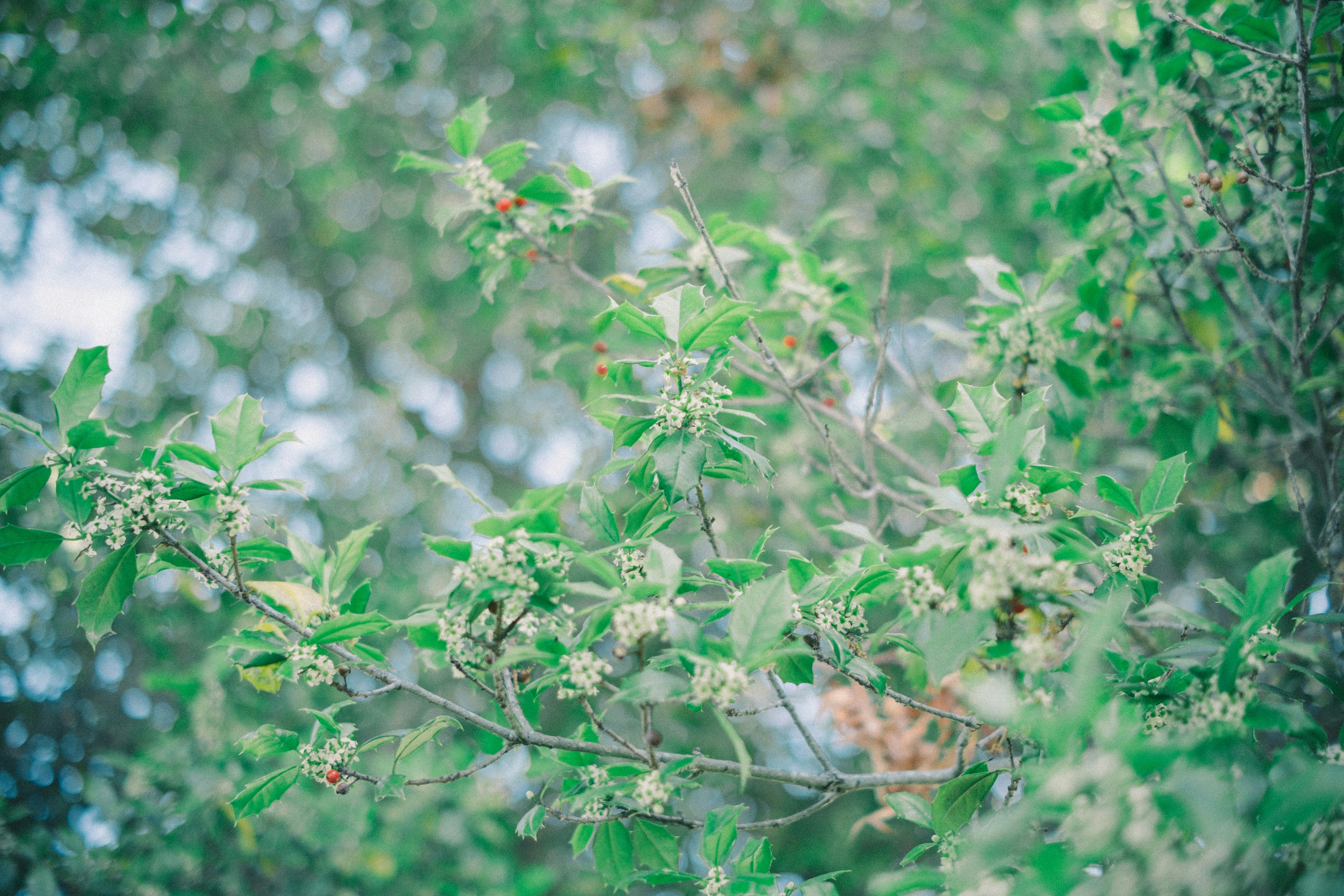 Photo by magicunsplash