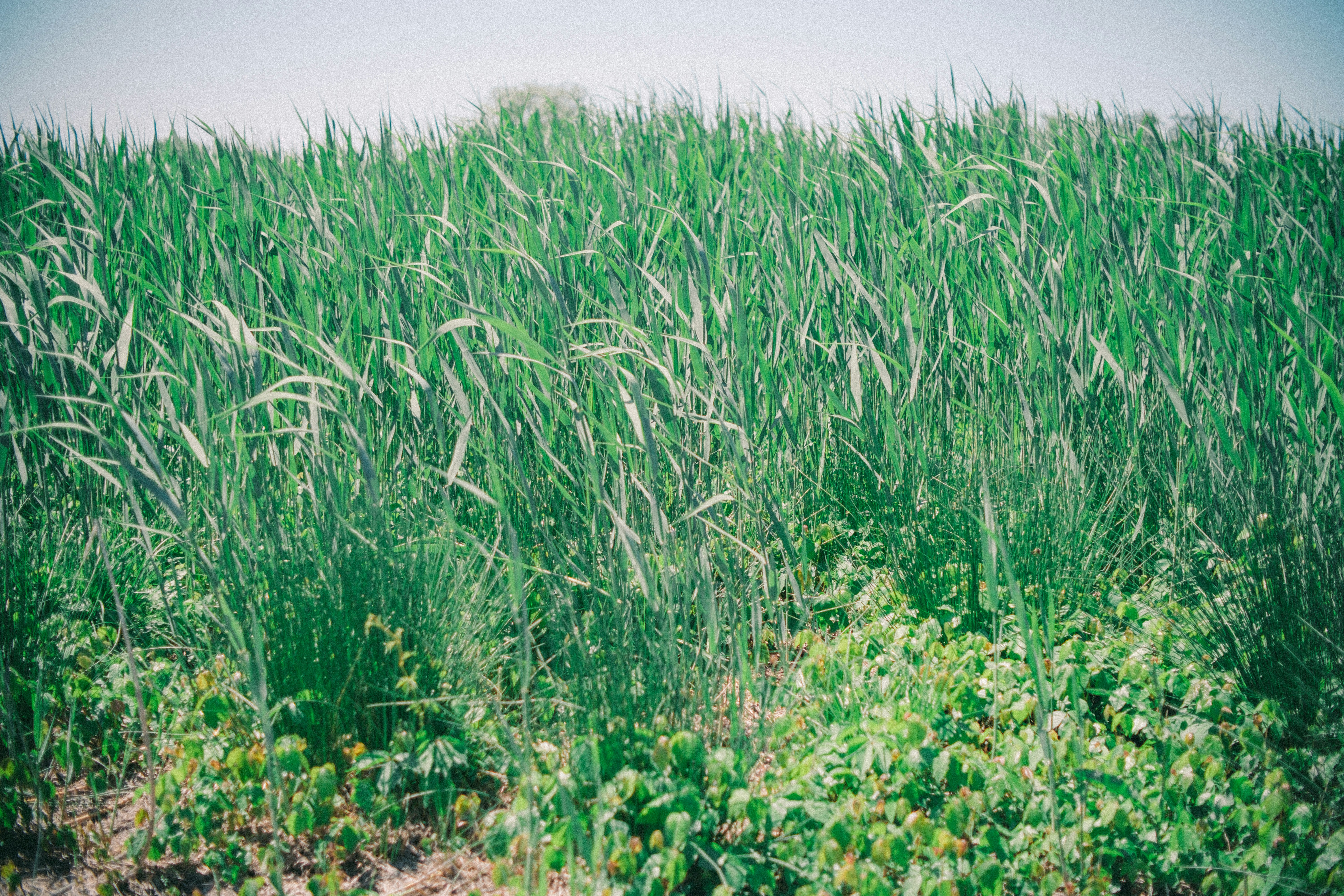 Photo by magicunsplash