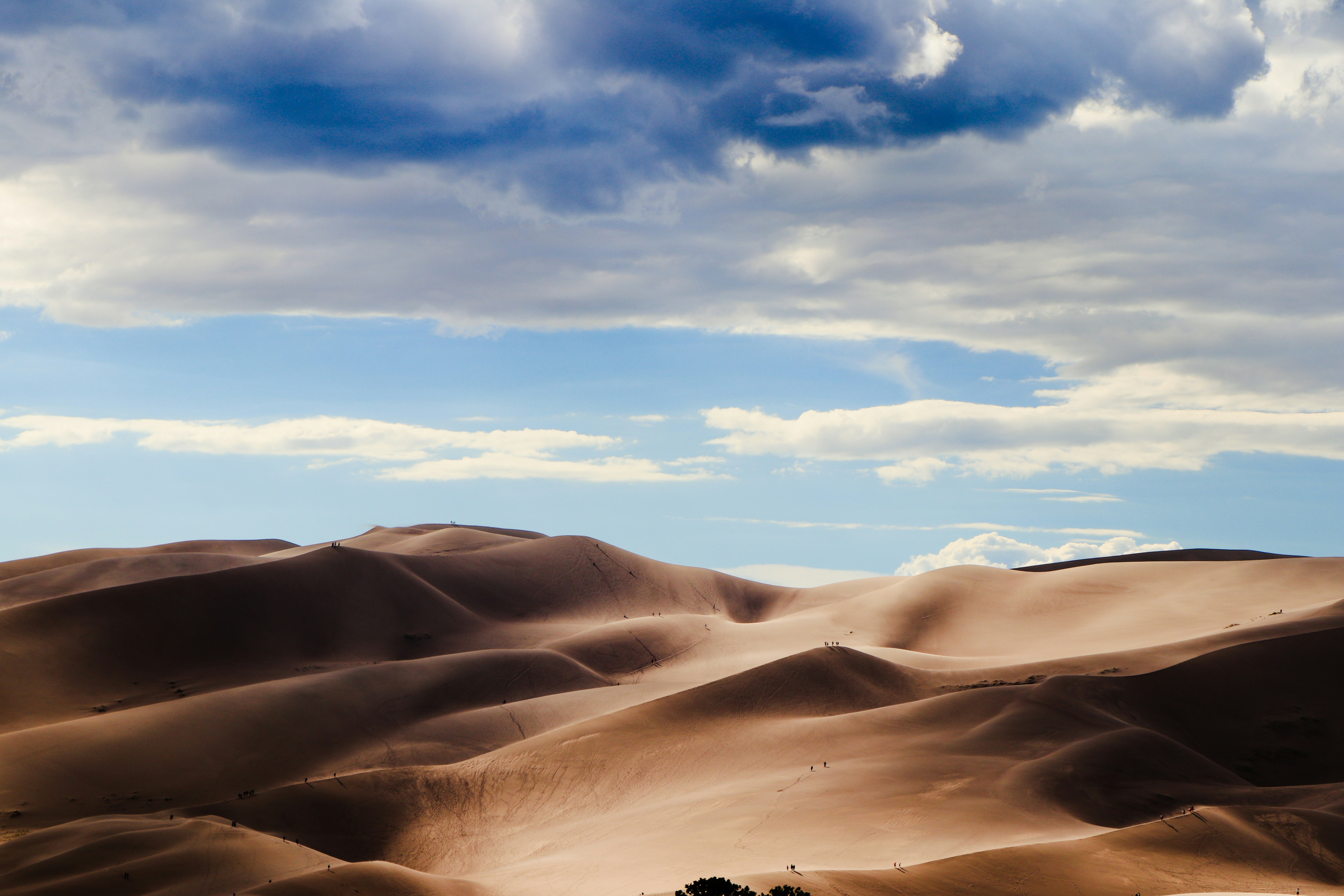 Photo by veerender_mothukuri