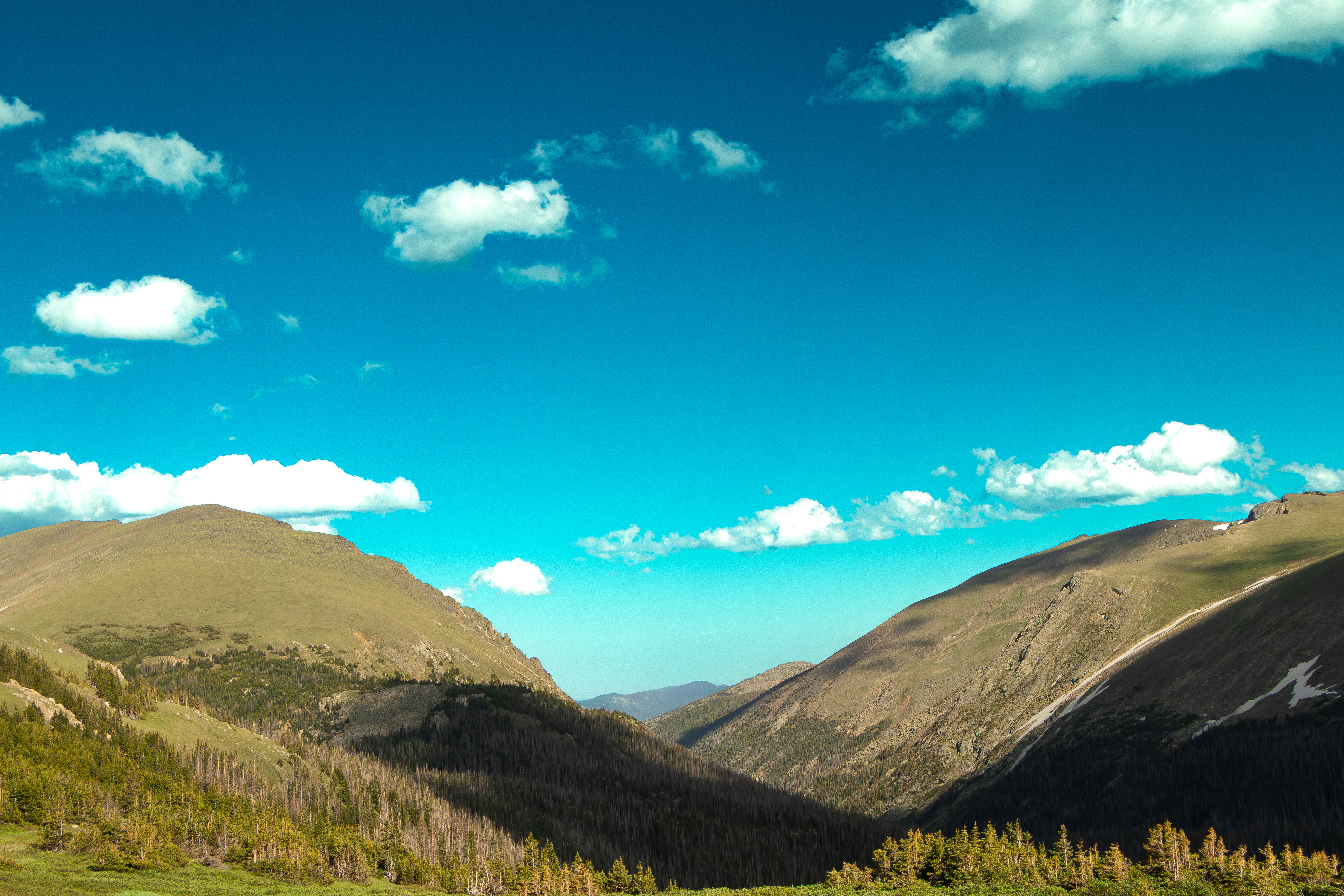 Photo by veerender_mothukuri