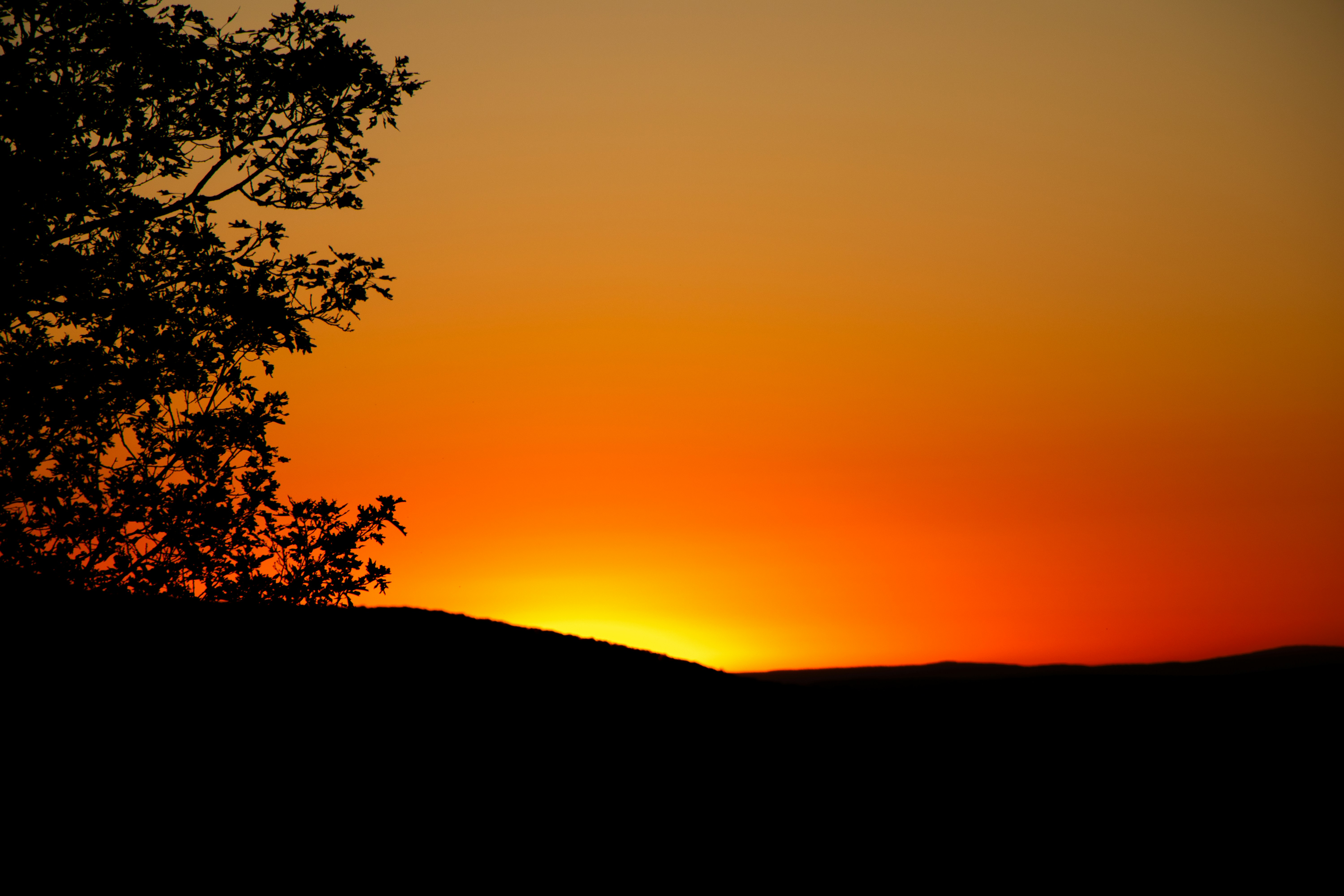 Photo by veerender_mothukuri