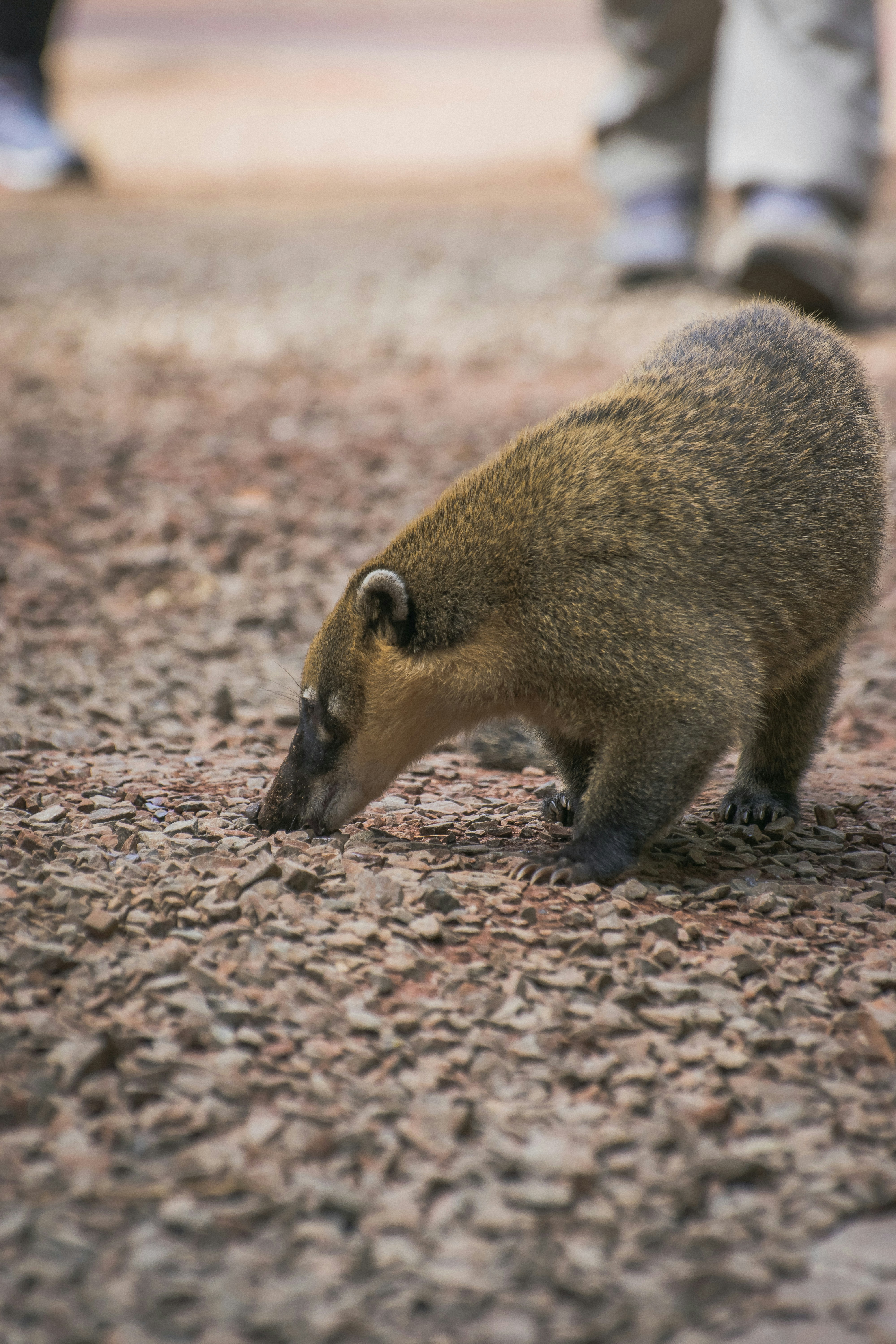 Photo by faustomarques