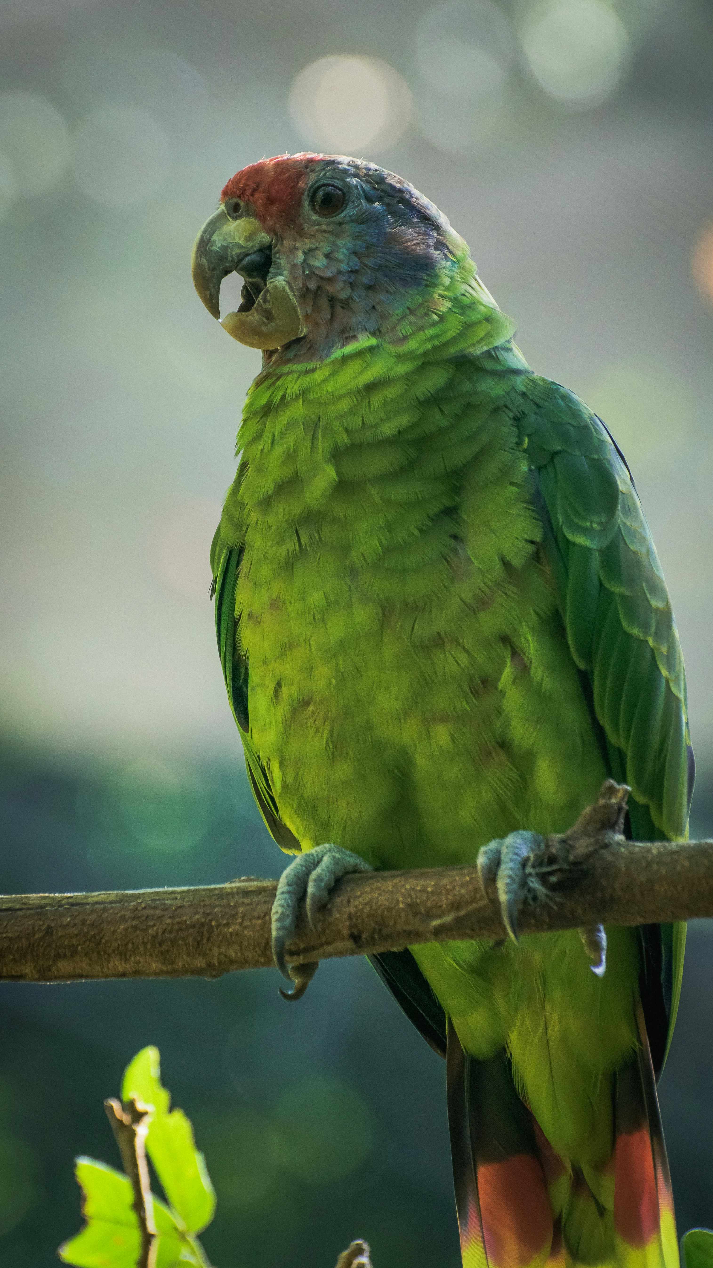 Photo by faustomarques