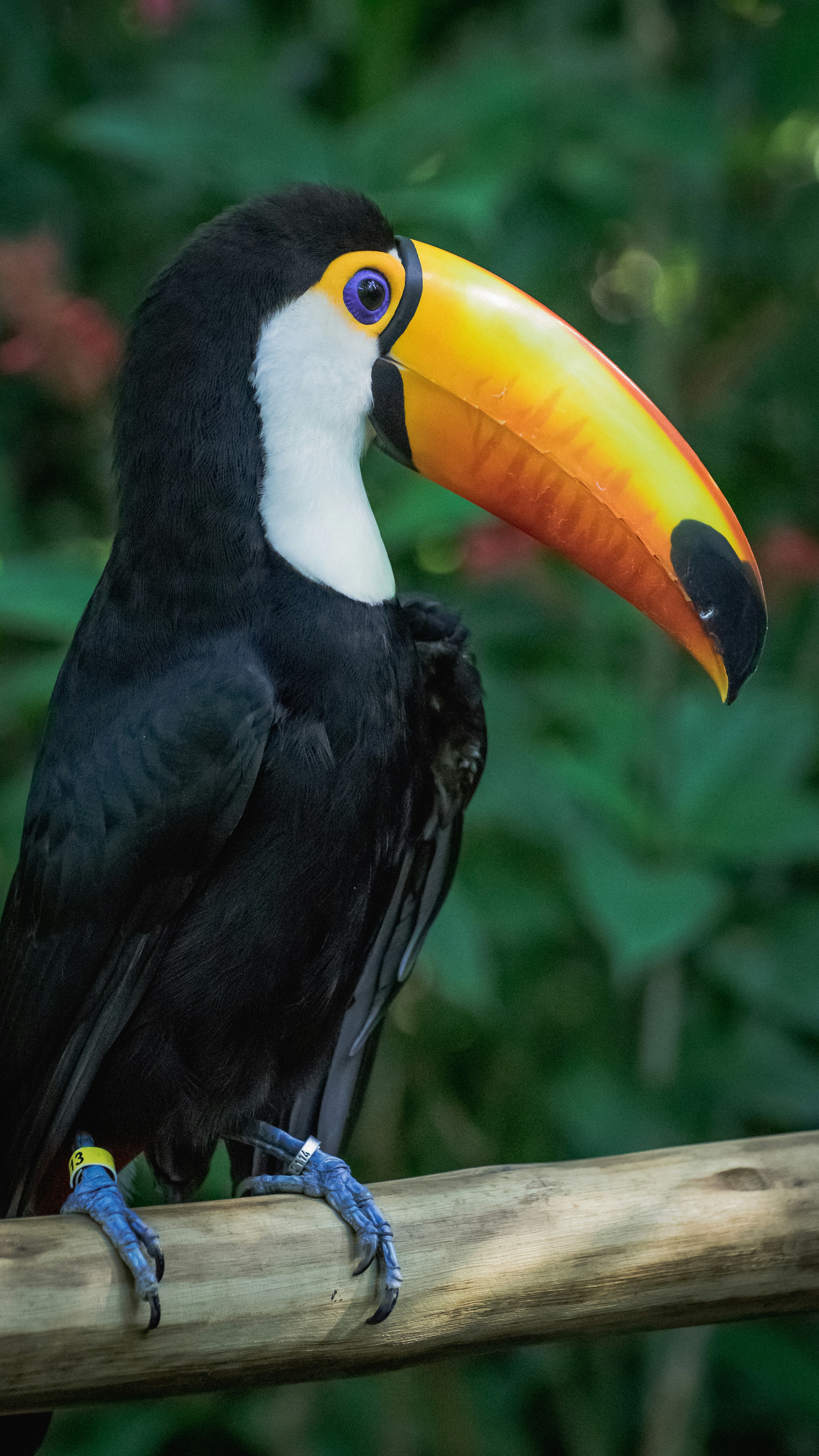 Photo by faustomarques